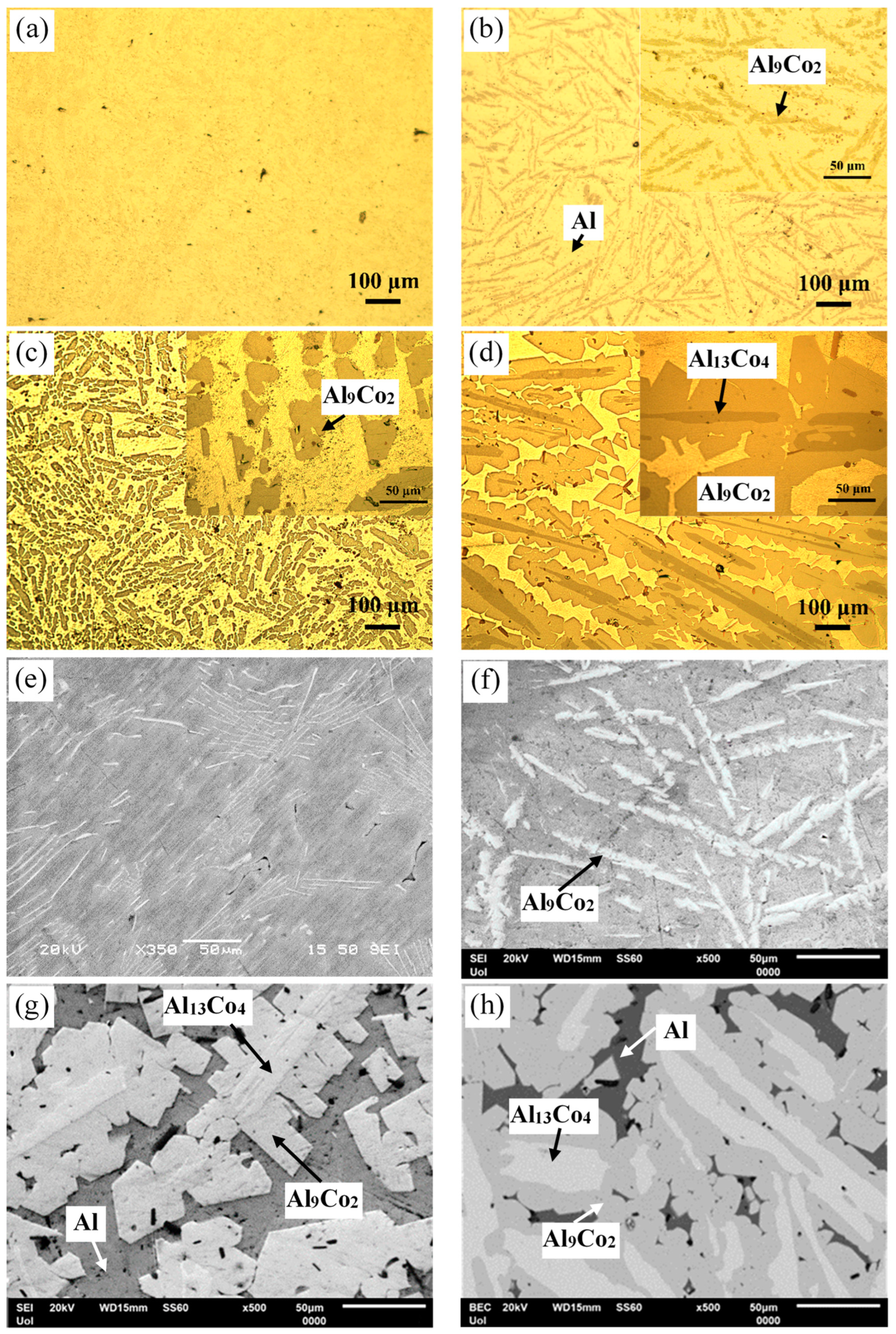 Materials 17 00655 g003