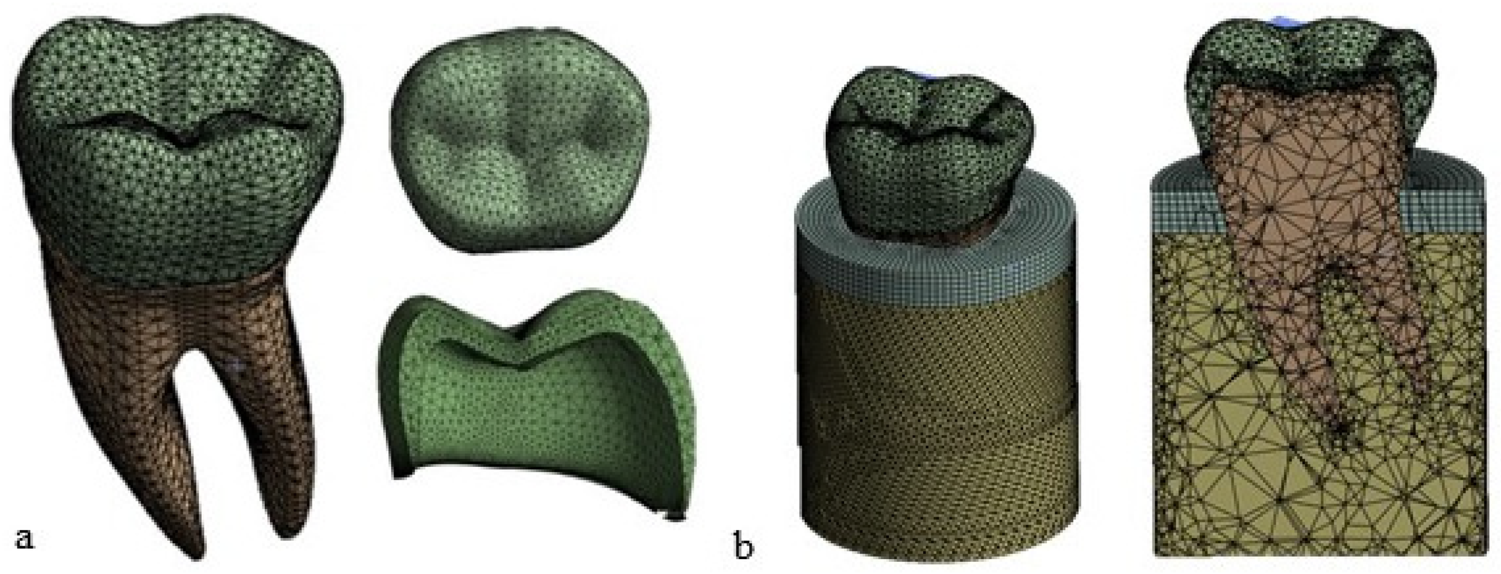 Materials 17 00673 g006