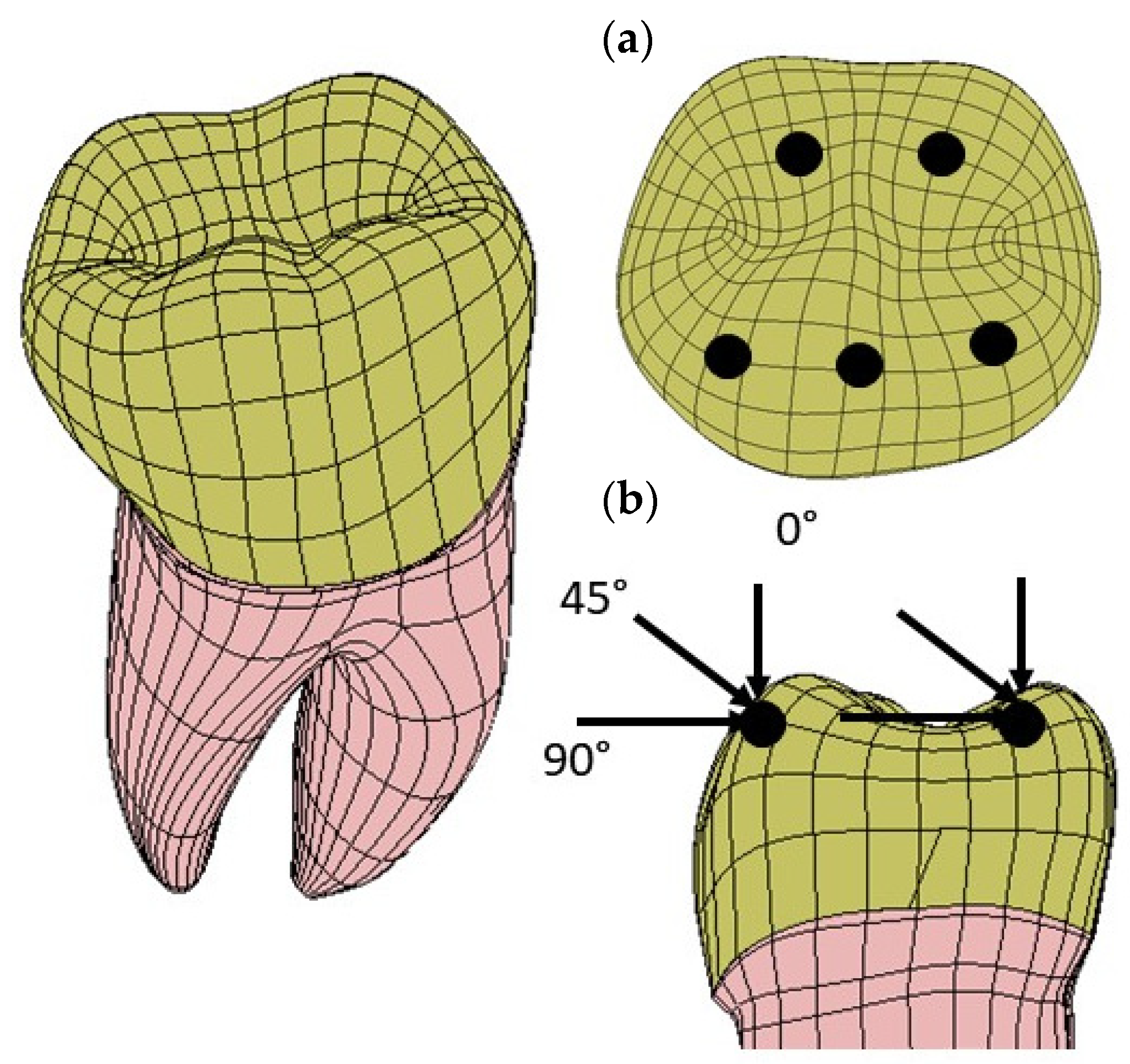 Materials 17 00673 g007