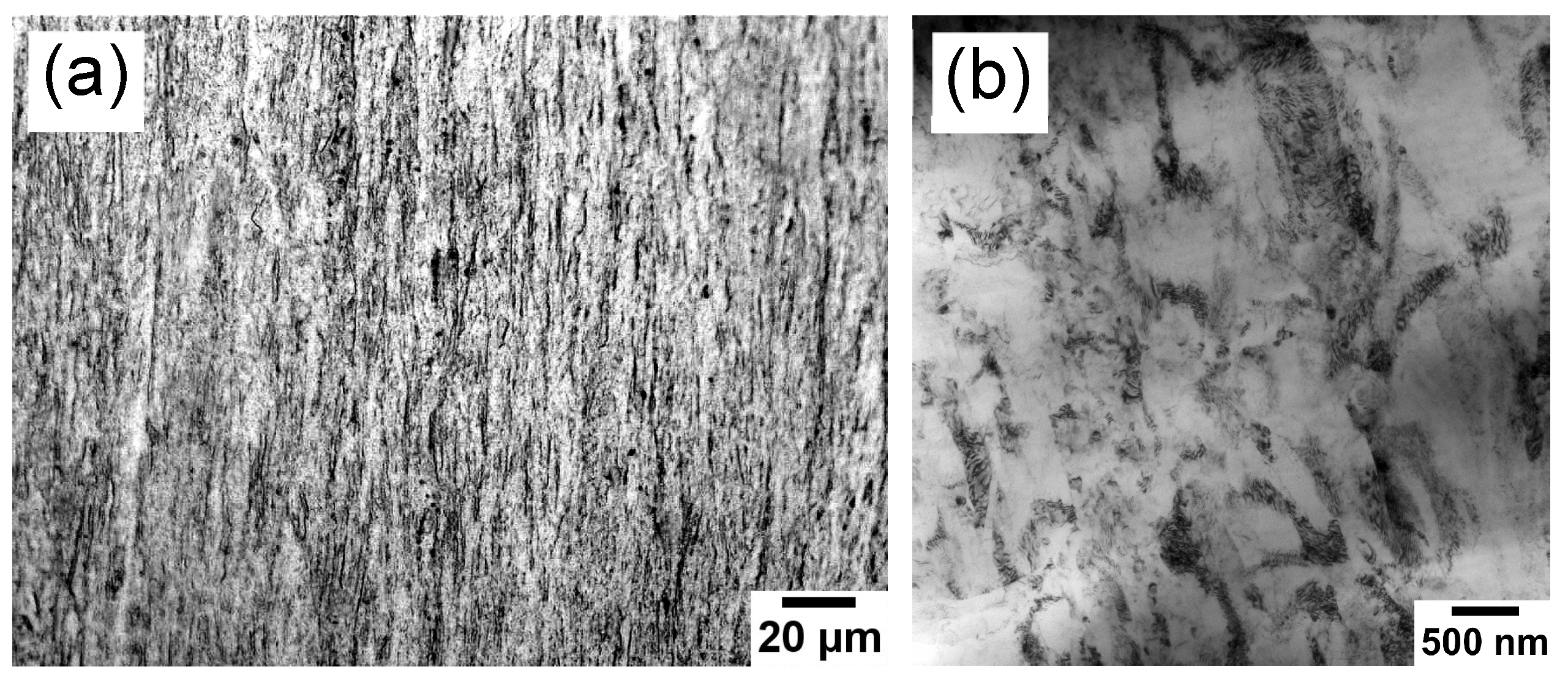 Materials 17 00683 g001