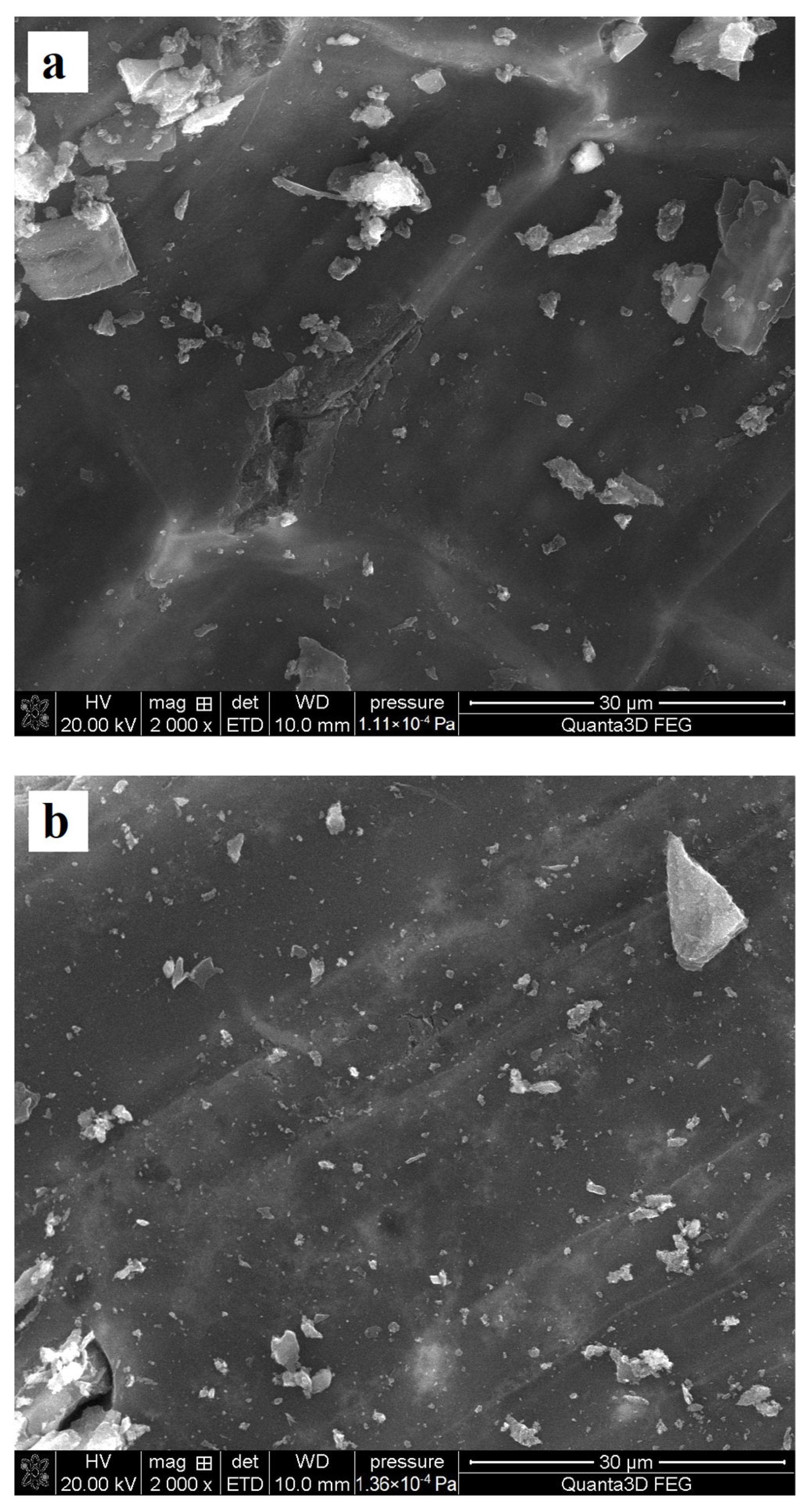 Materials 17 00693 g001