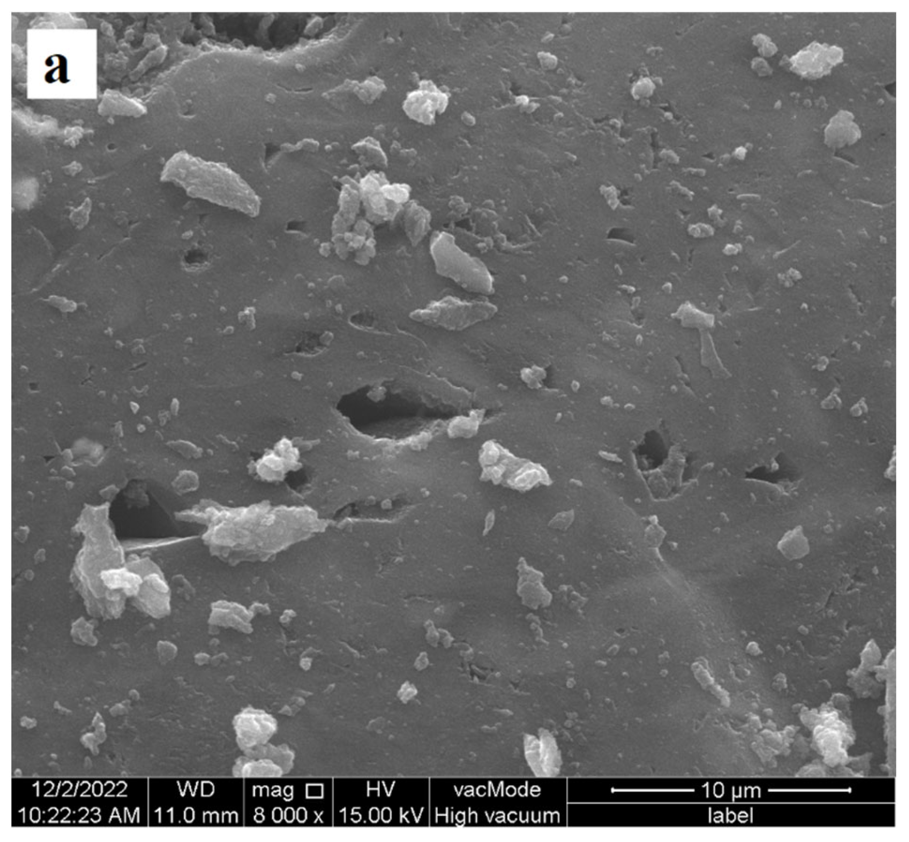 Materials 17 00693 g002a