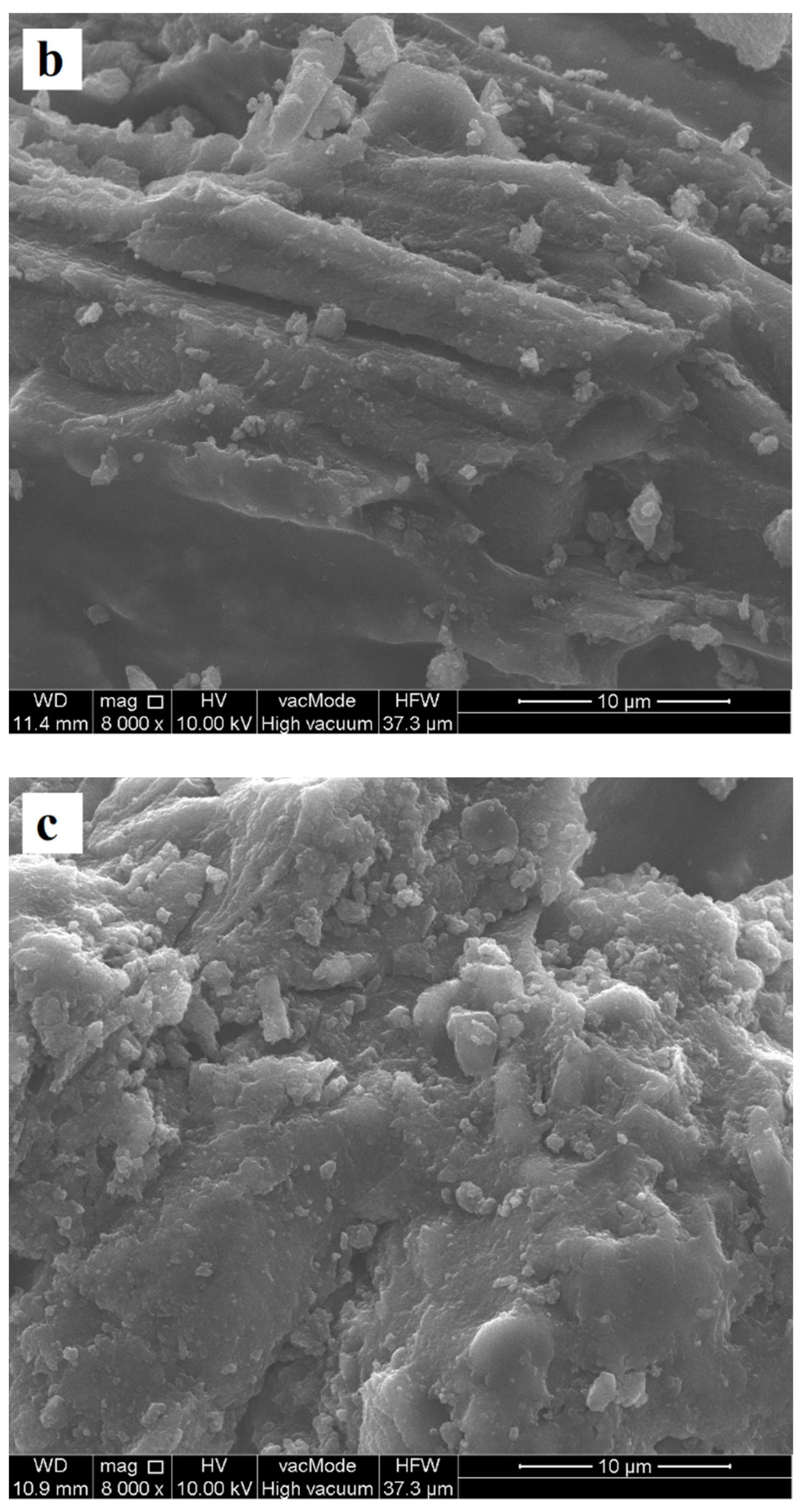 Materials 17 00693 g002b