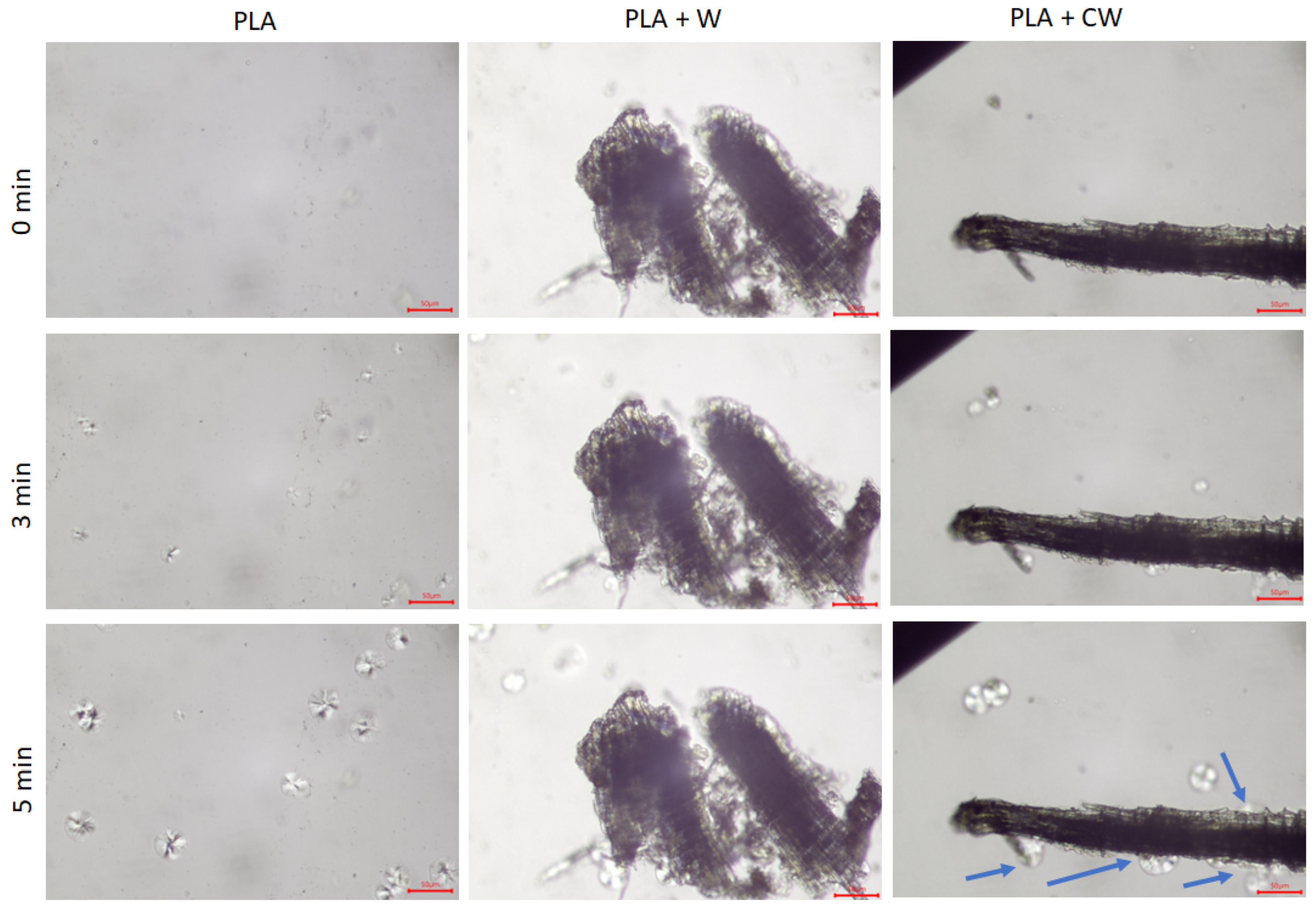 Materials 17 00698 g006