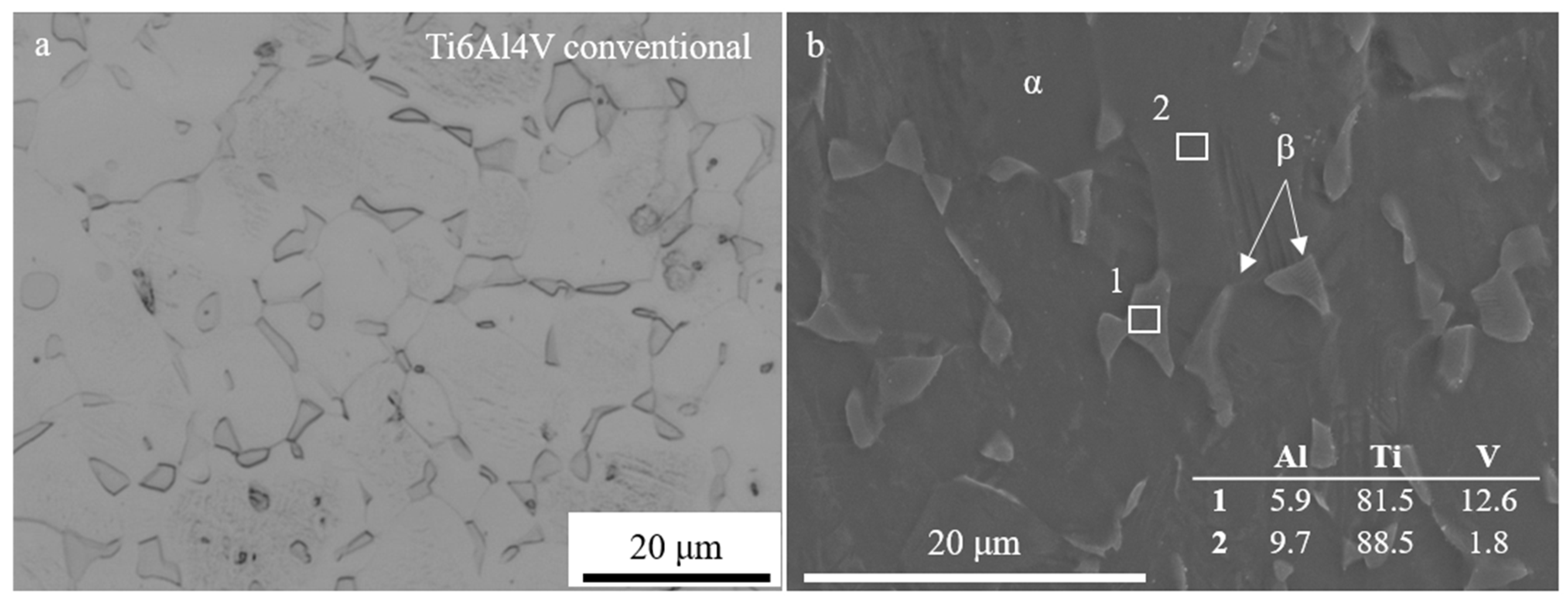 Materials 17 00712 g002 Materials 17 00712 g002