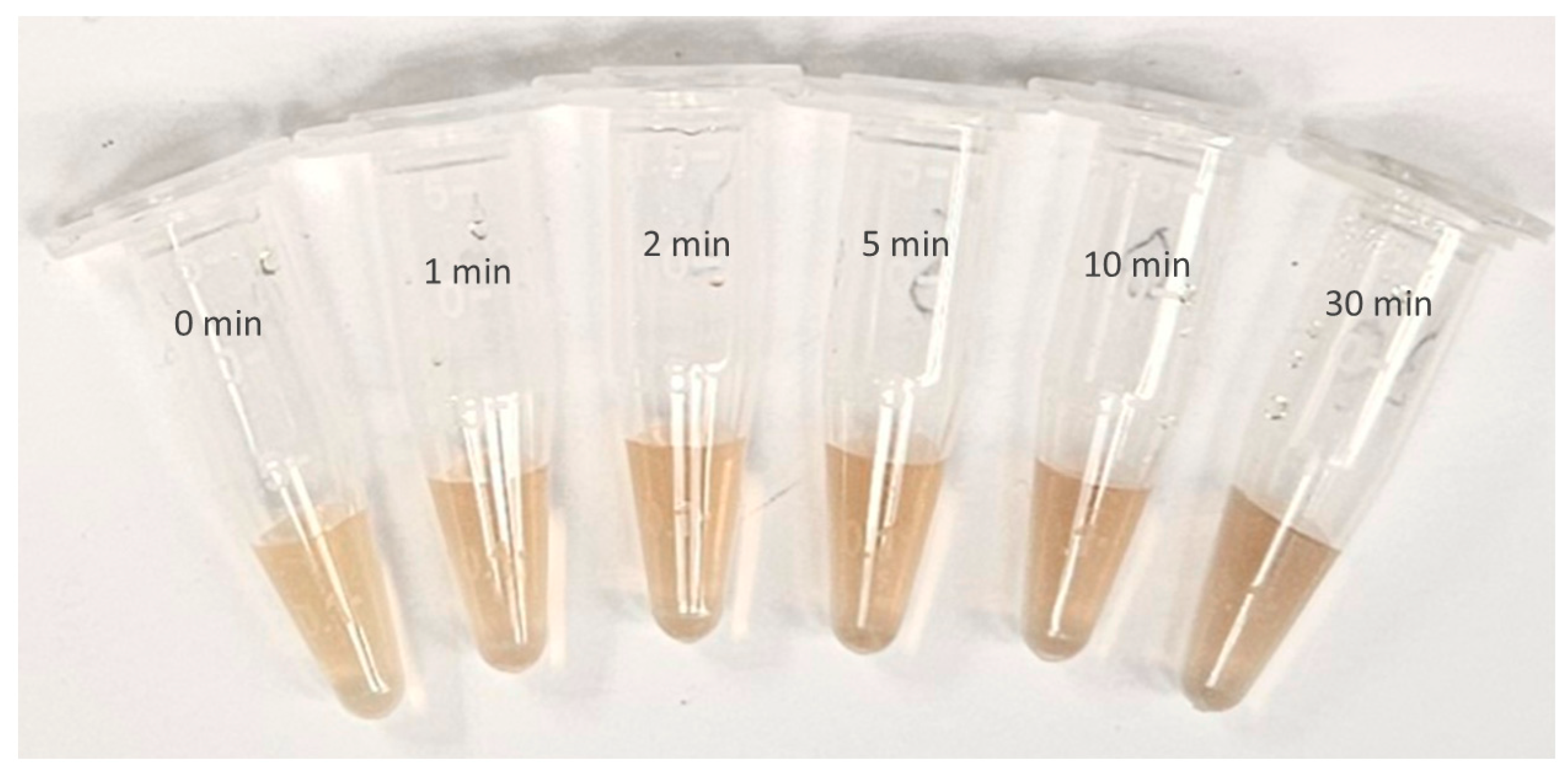 Materials 17 00713 g003