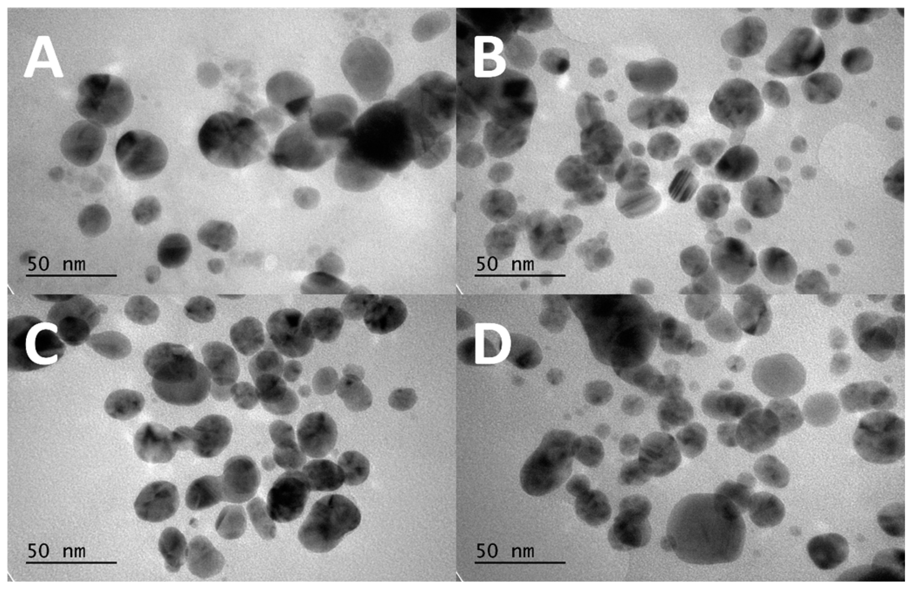 Materials 17 00713 g004