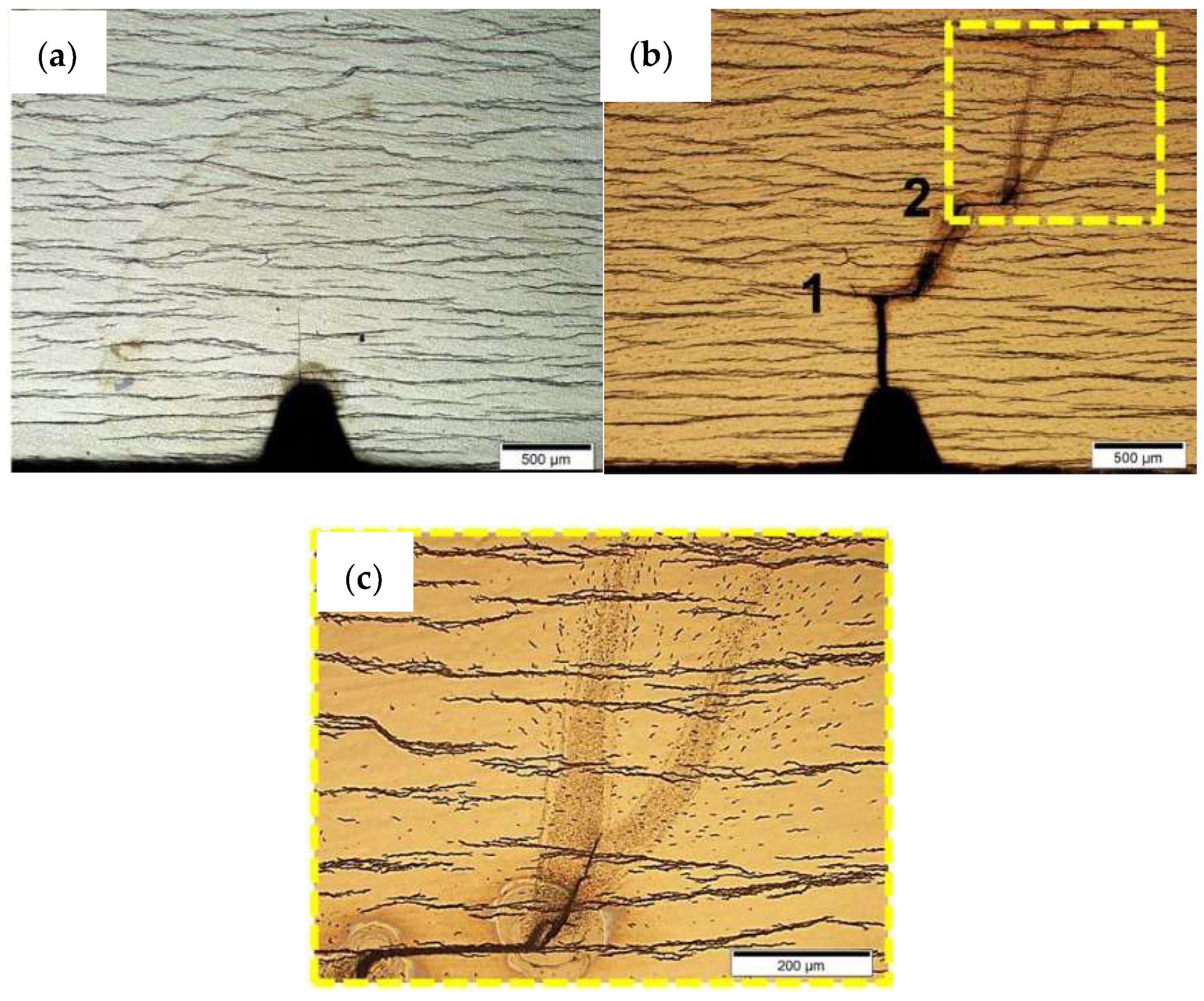 Materials 17 00781 g008