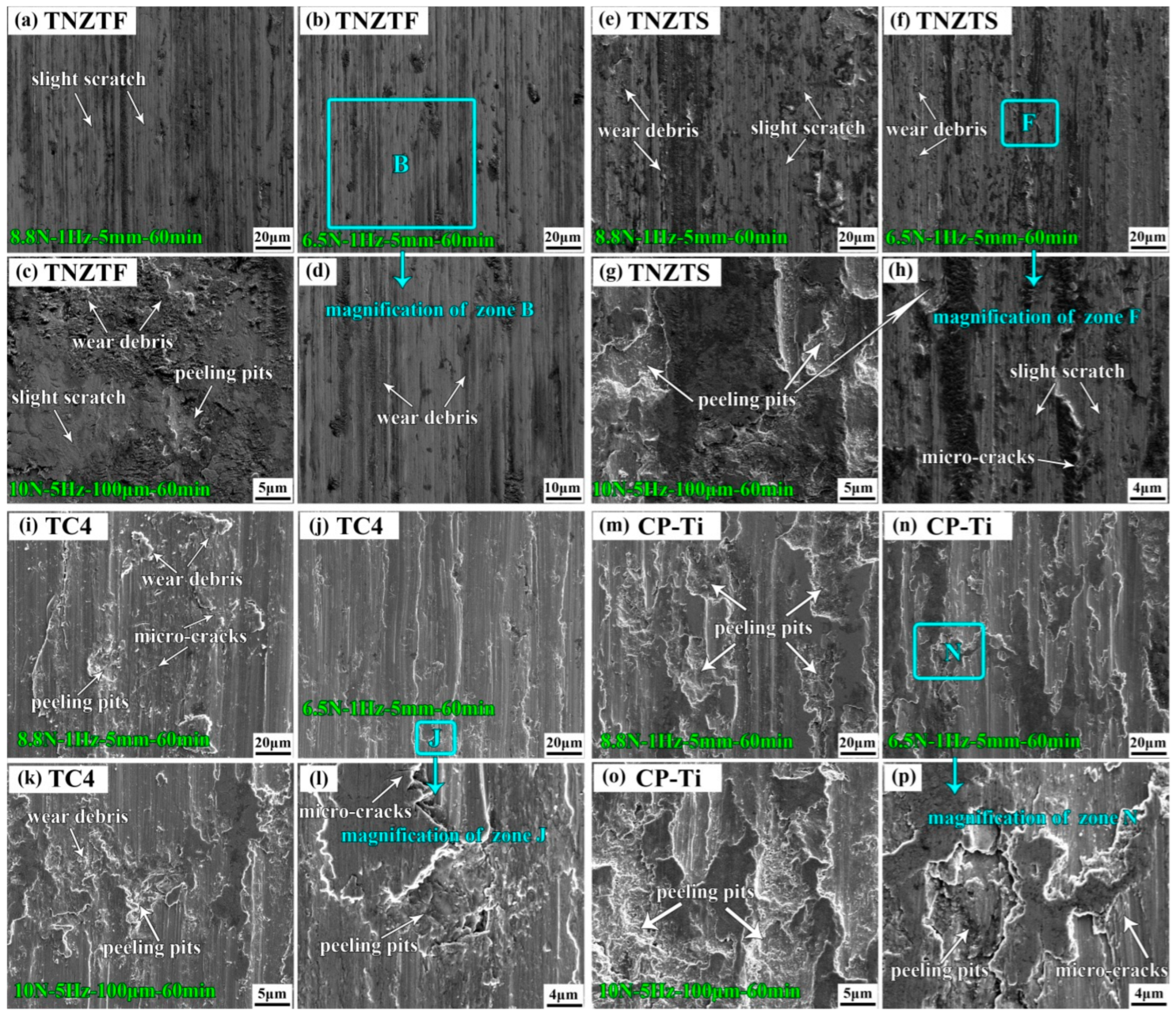 Materials 17 00787 g012