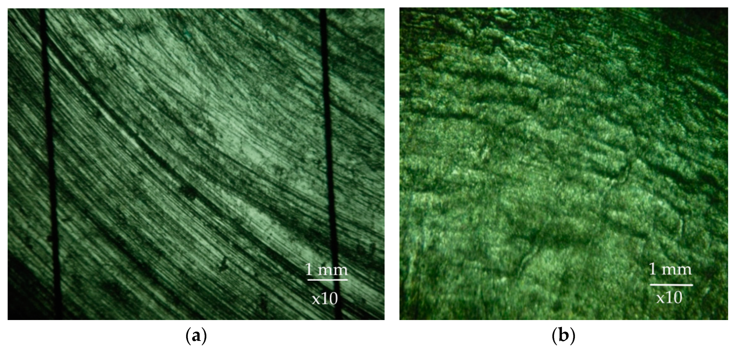 Materials 17 00795 g002