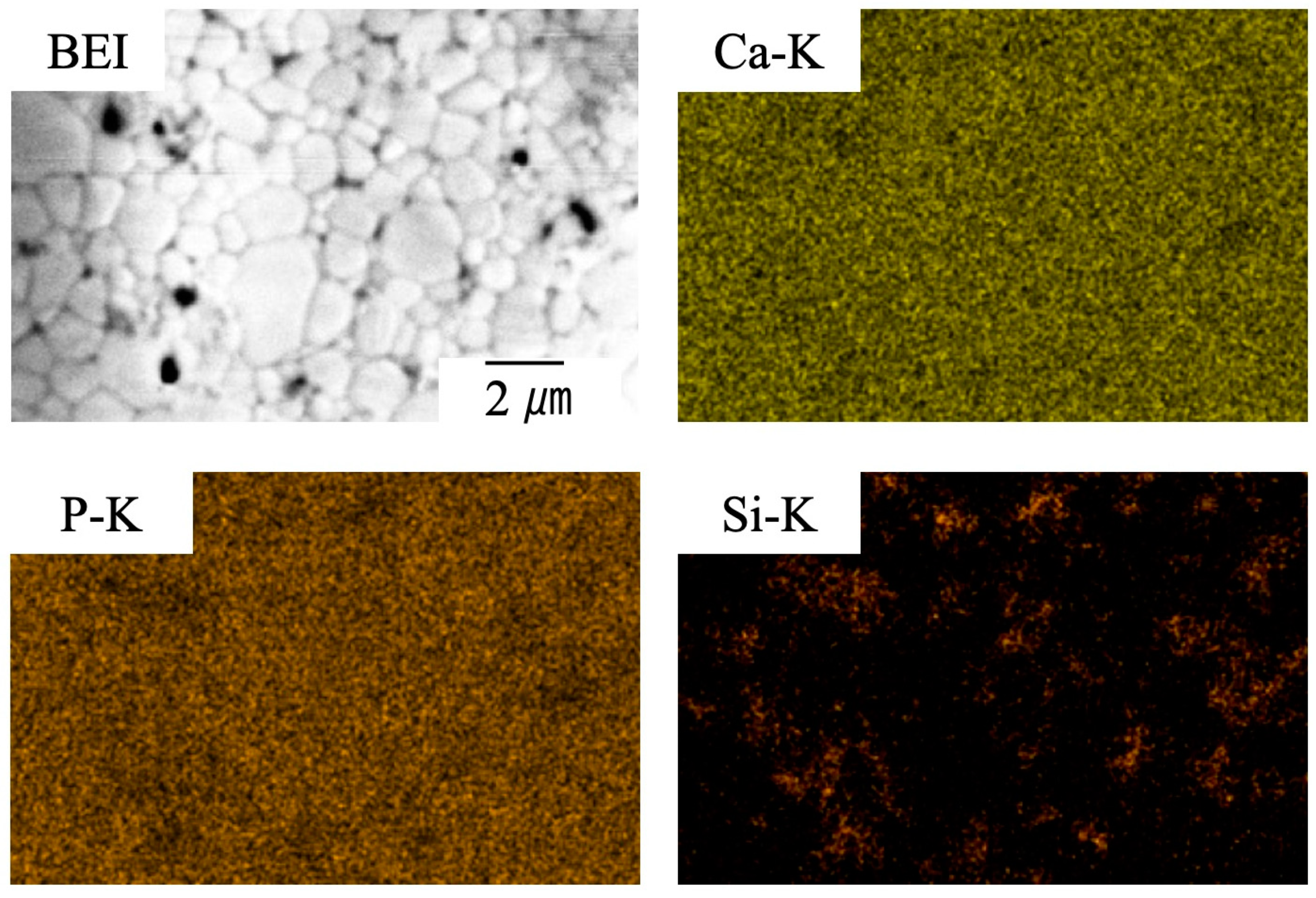 Materials 17 00797 g011