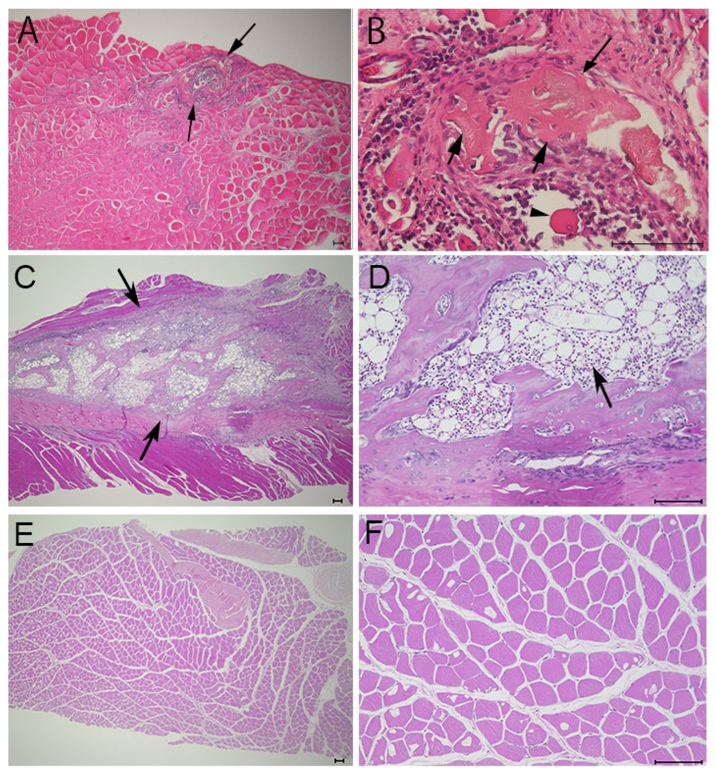 Materials 17 00880 g004 Materials 17 00880 g004