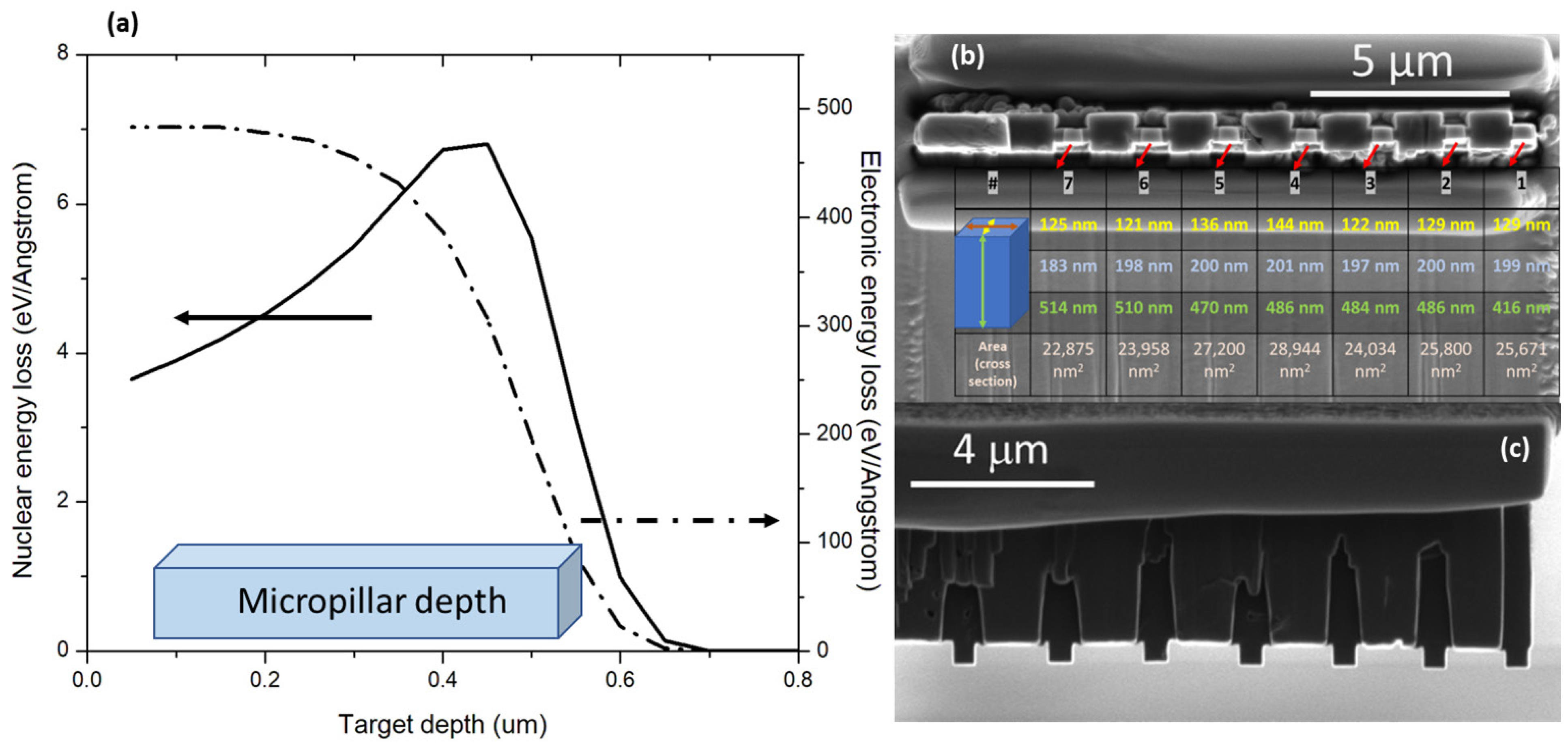 Materials 17 00895 g001