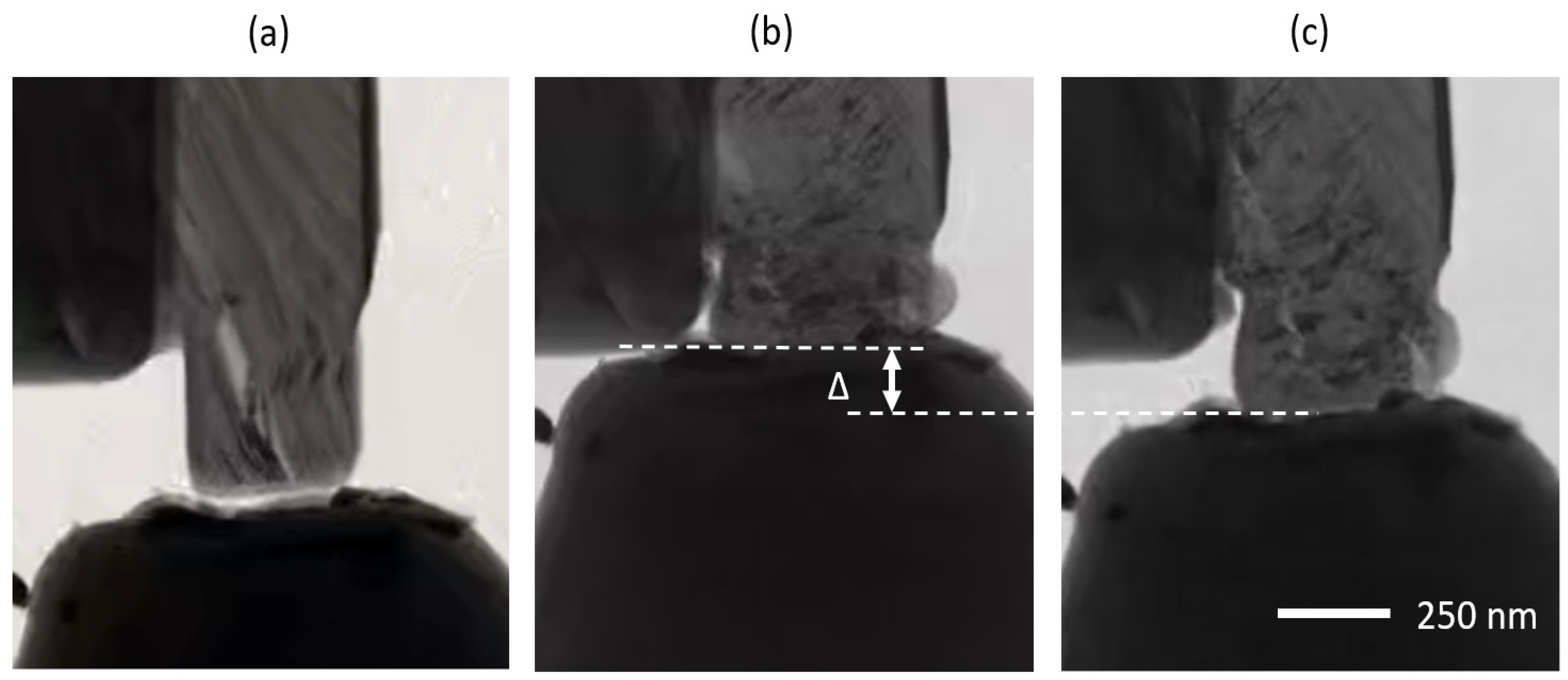 Materials 17 00895 g006