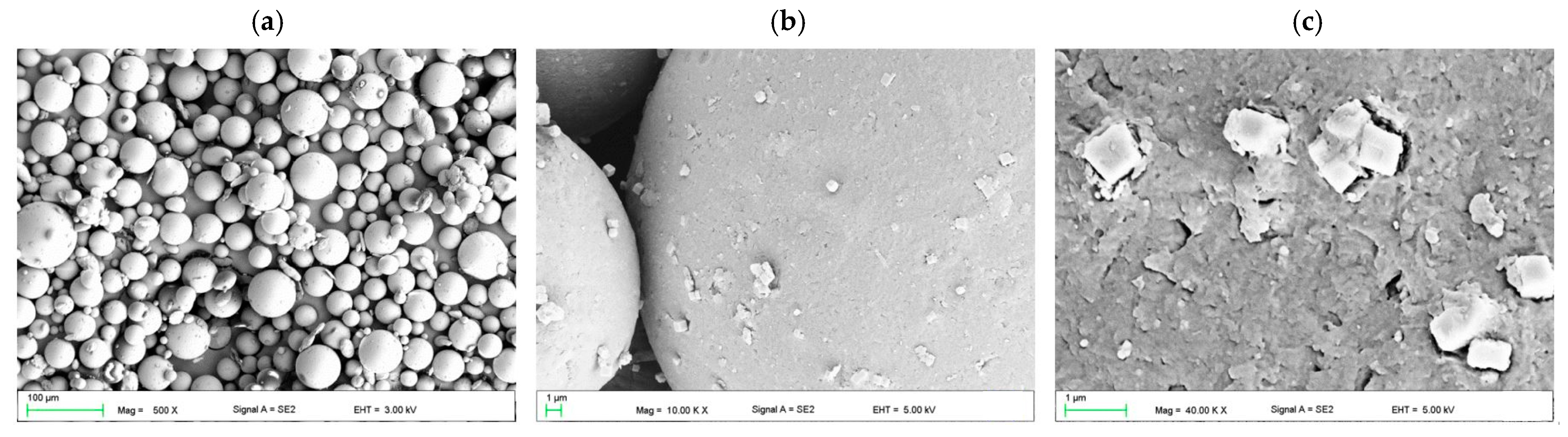 Materials 17 00902 g002