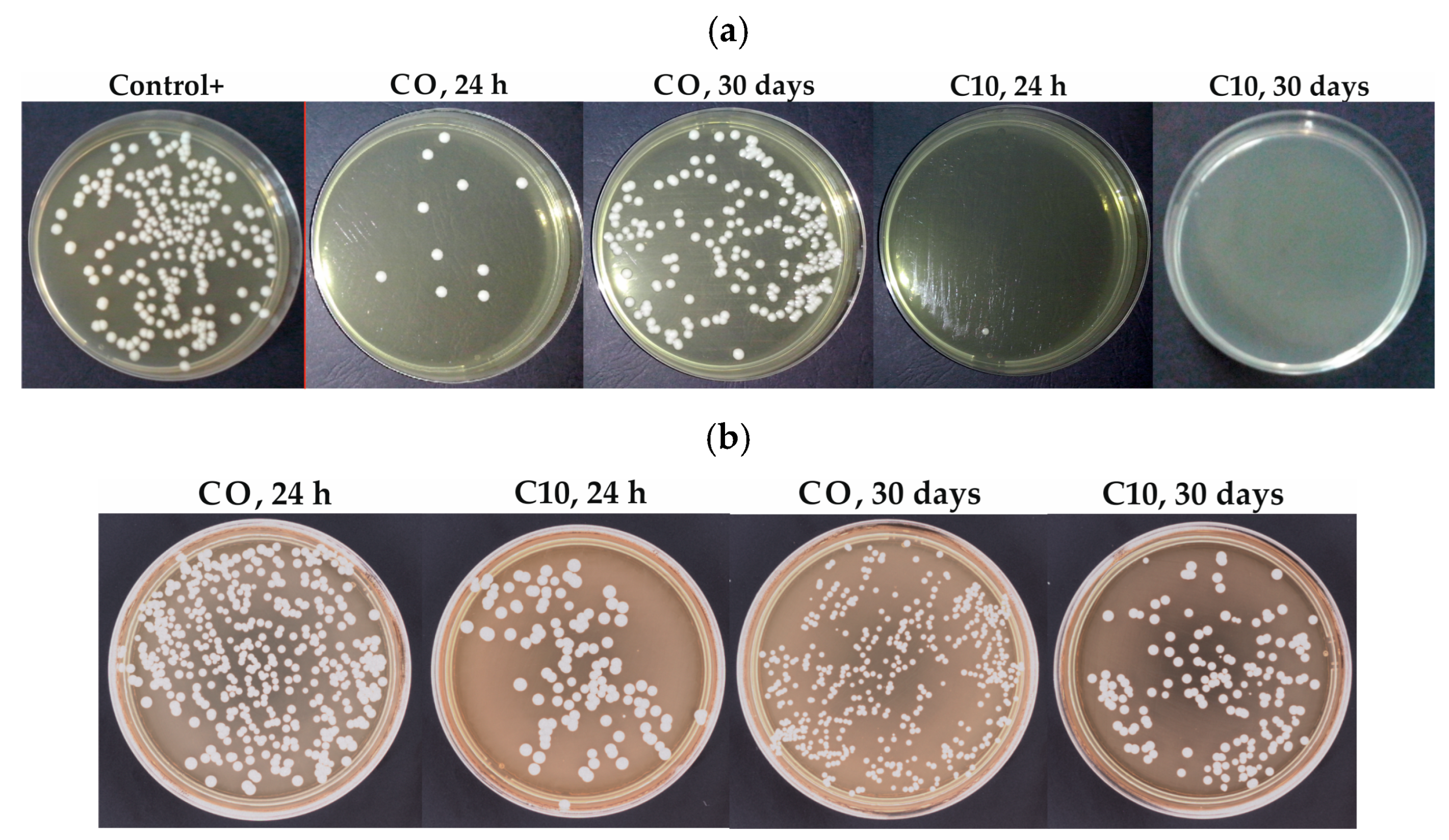Materials 17 00902 g004