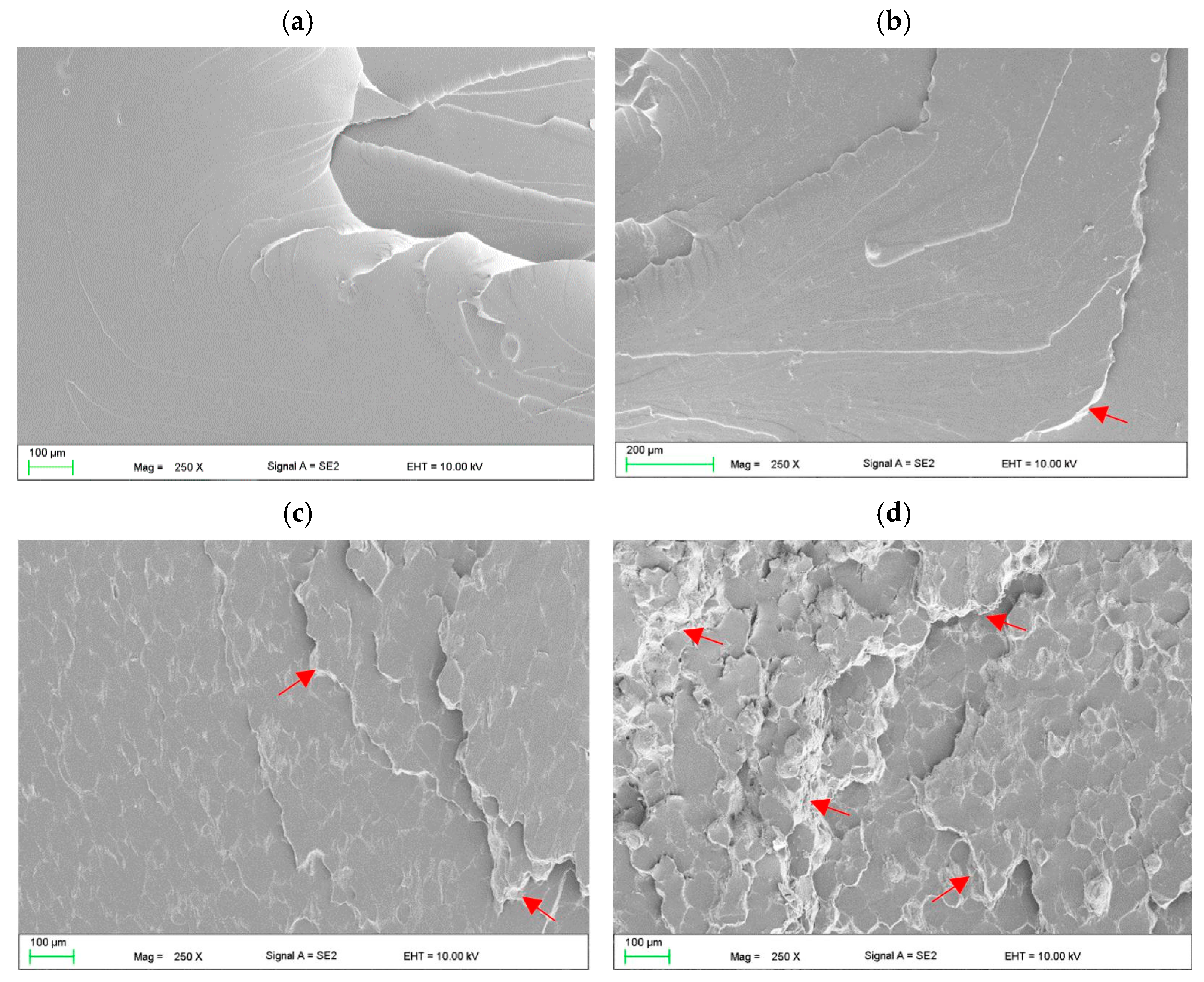 Materials 17 00902 g009