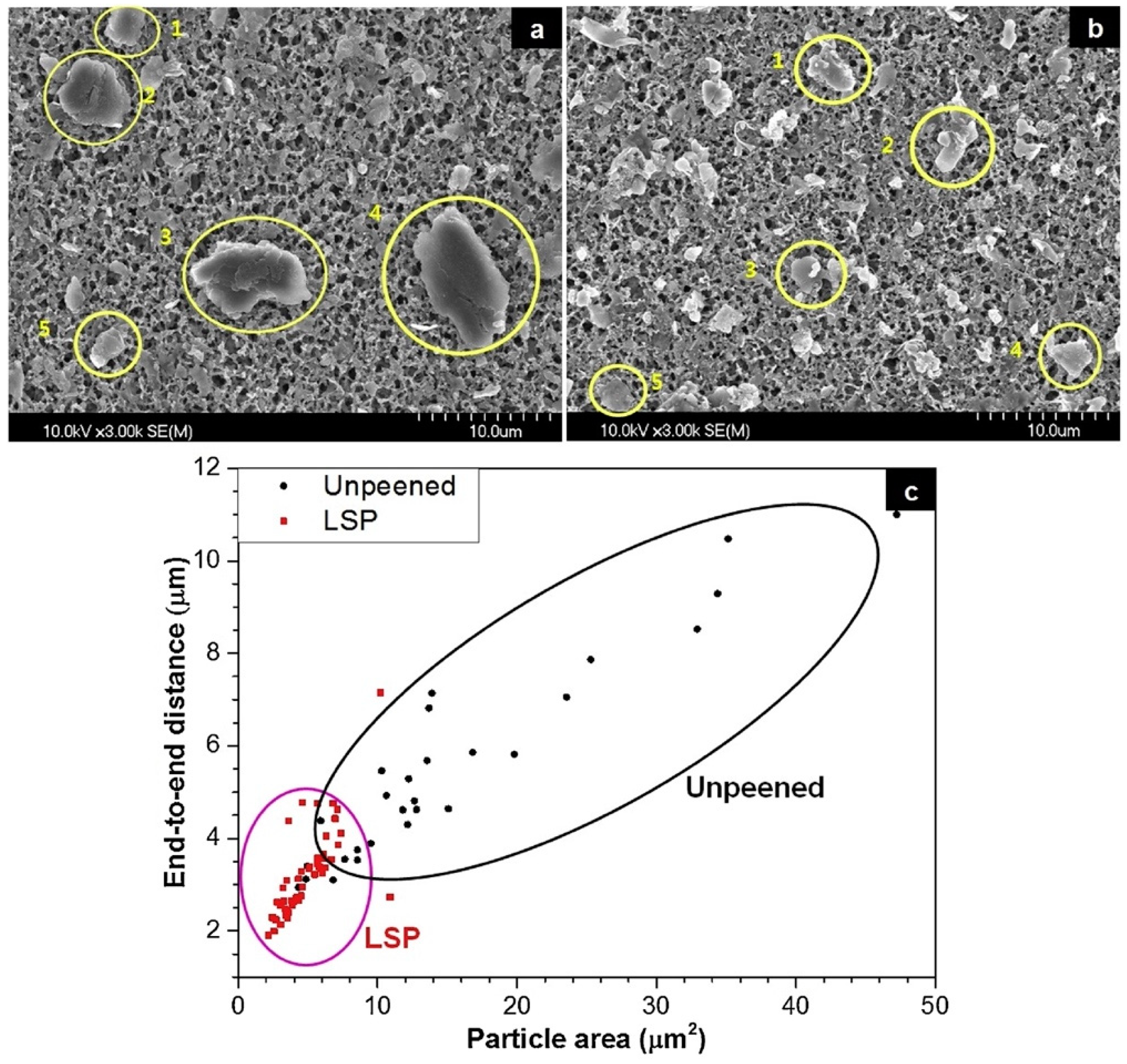 Materials 17 00909 g005