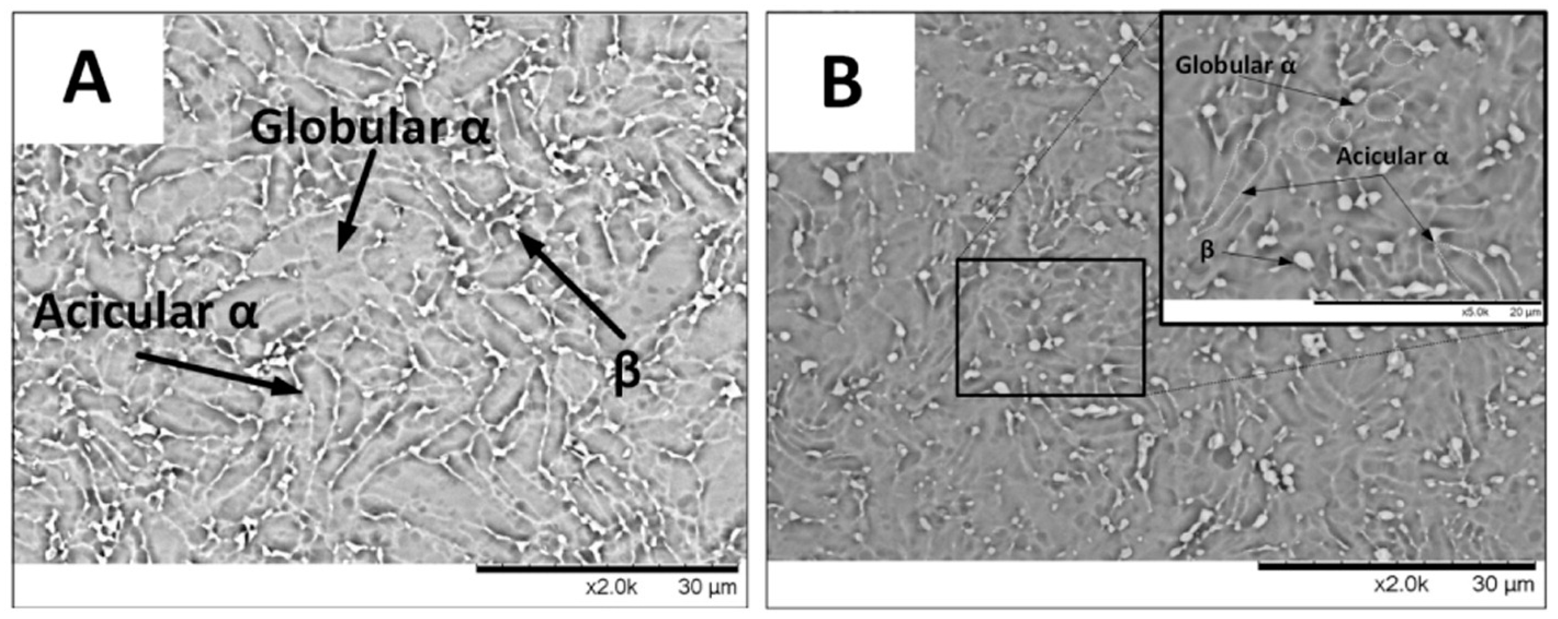 Materials 17 00909 g006