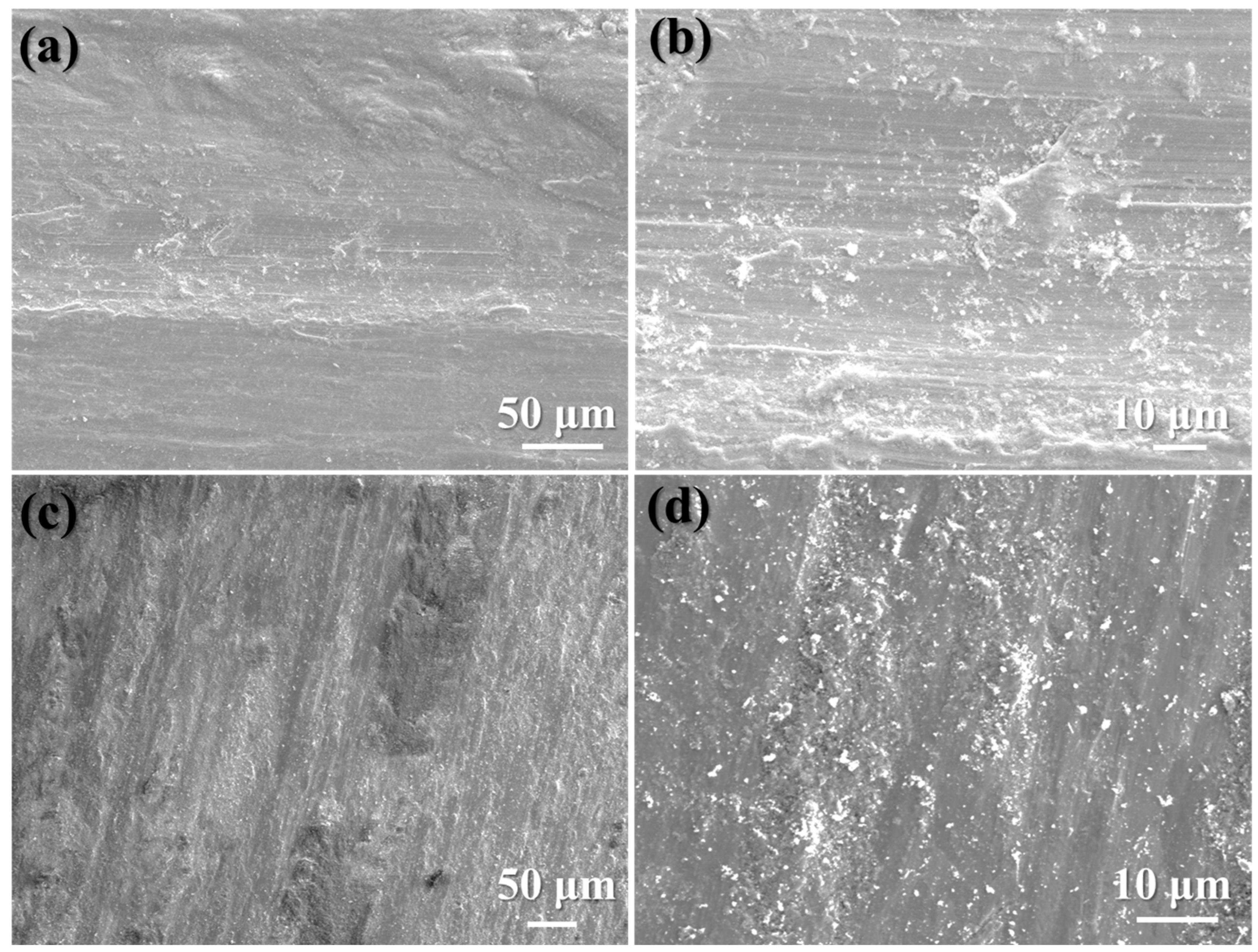 Materials 17 00909 g011