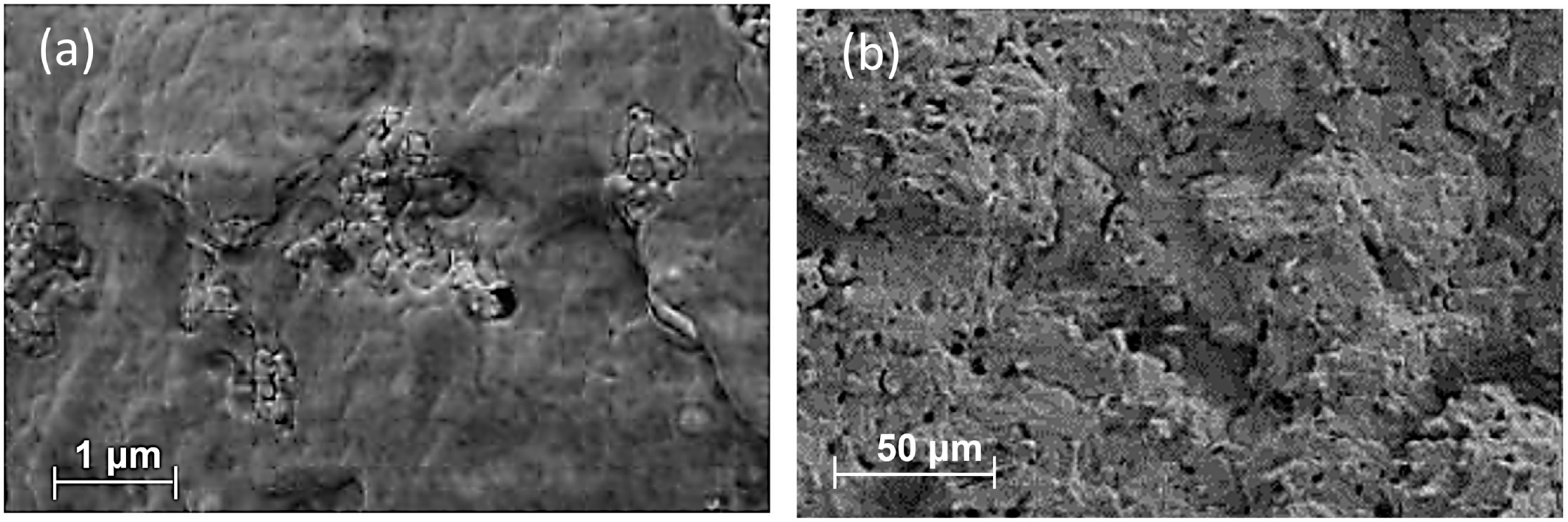 Materials 17 00916 g005 Materials 17 00916 g005