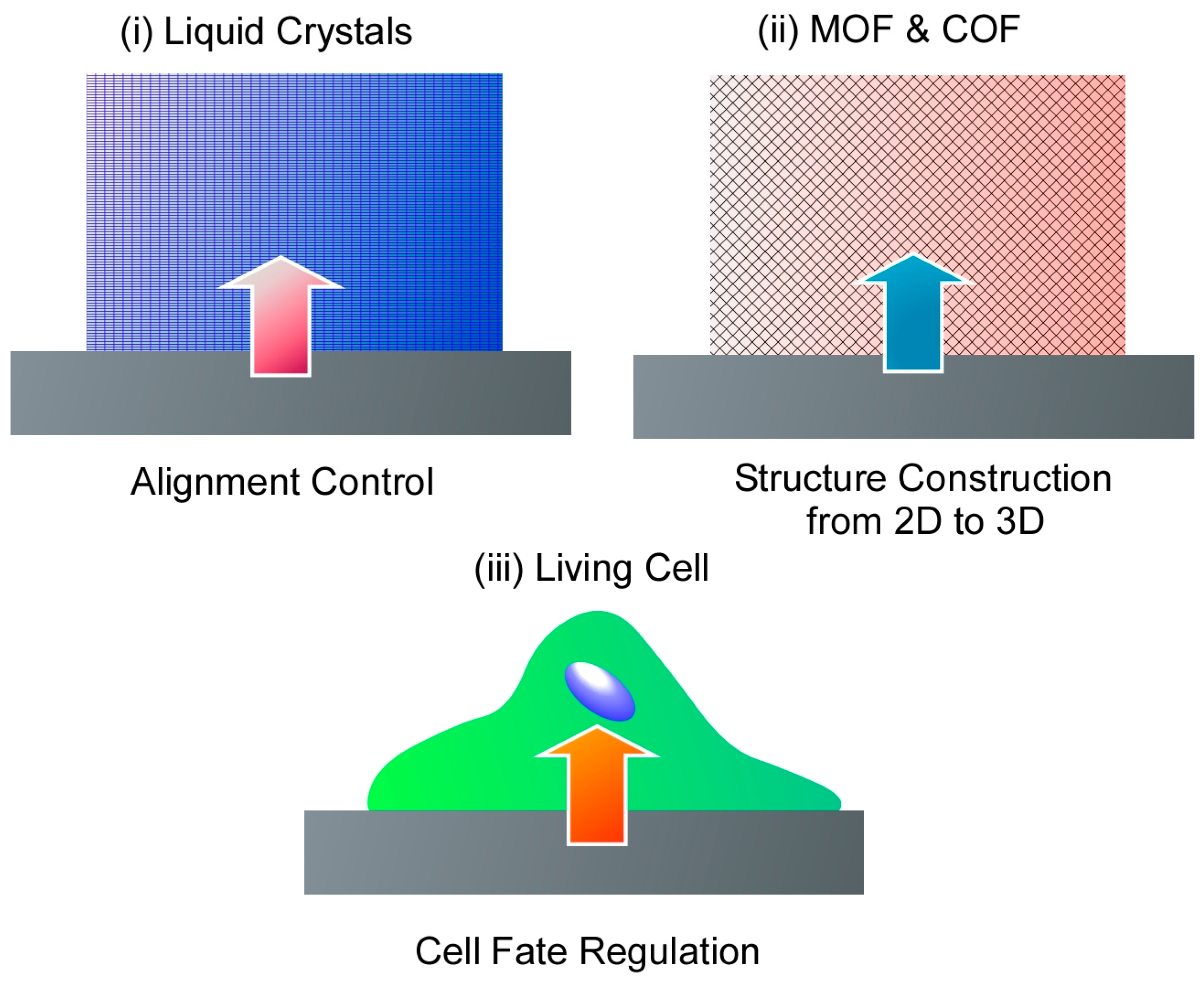 Materials 17 00936 g002