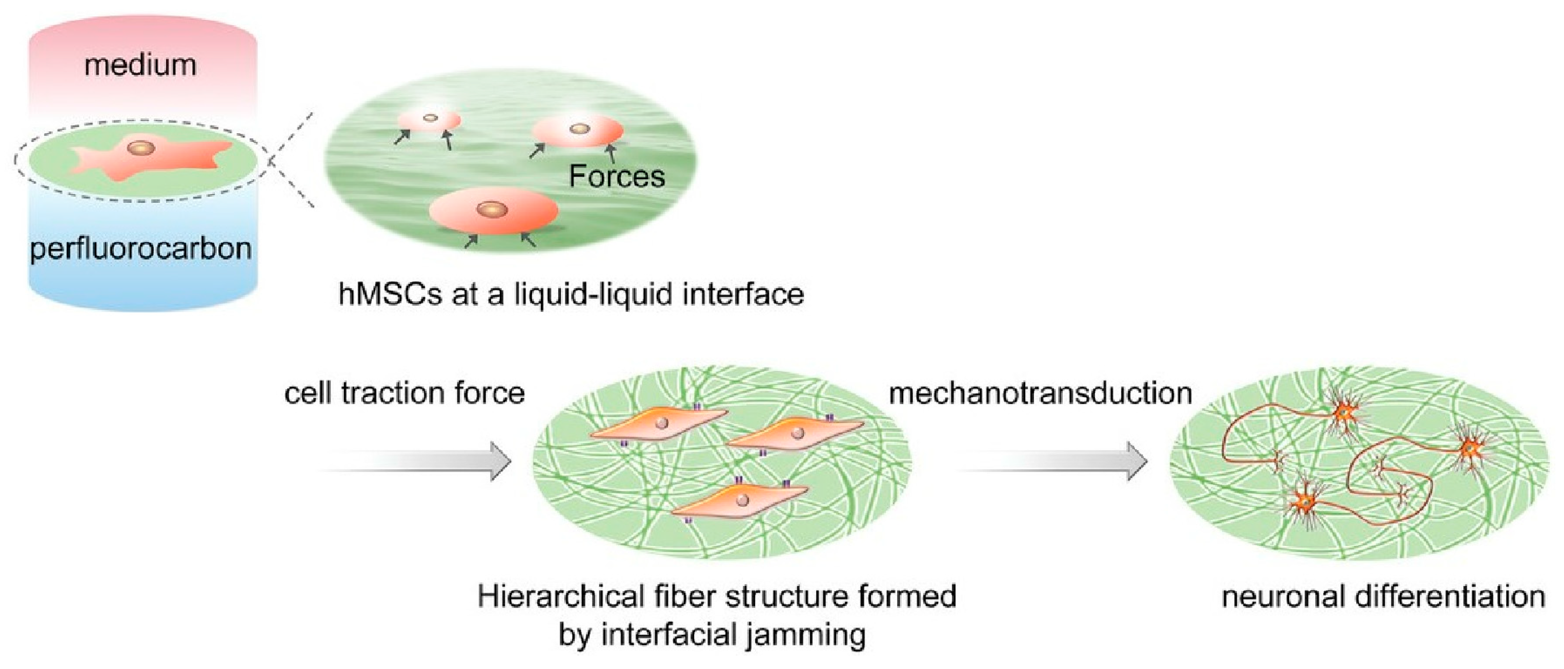 Materials 17 00936 g016