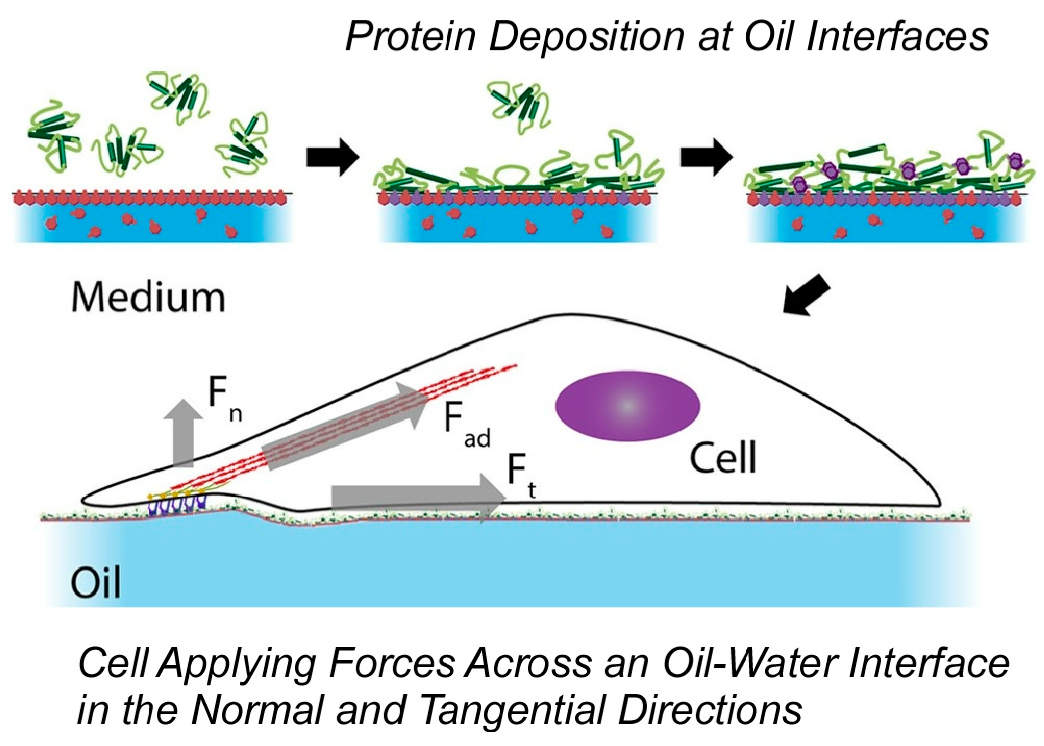 Materials 17 00936 g019