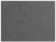 Materials 17 00937 i005