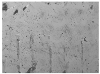 Materials 17 00937 i009