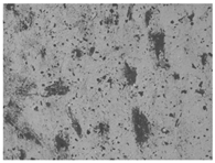 Materials 17 00937 i011