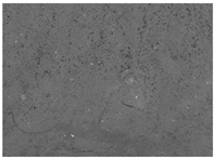 Materials 17 00937 i013