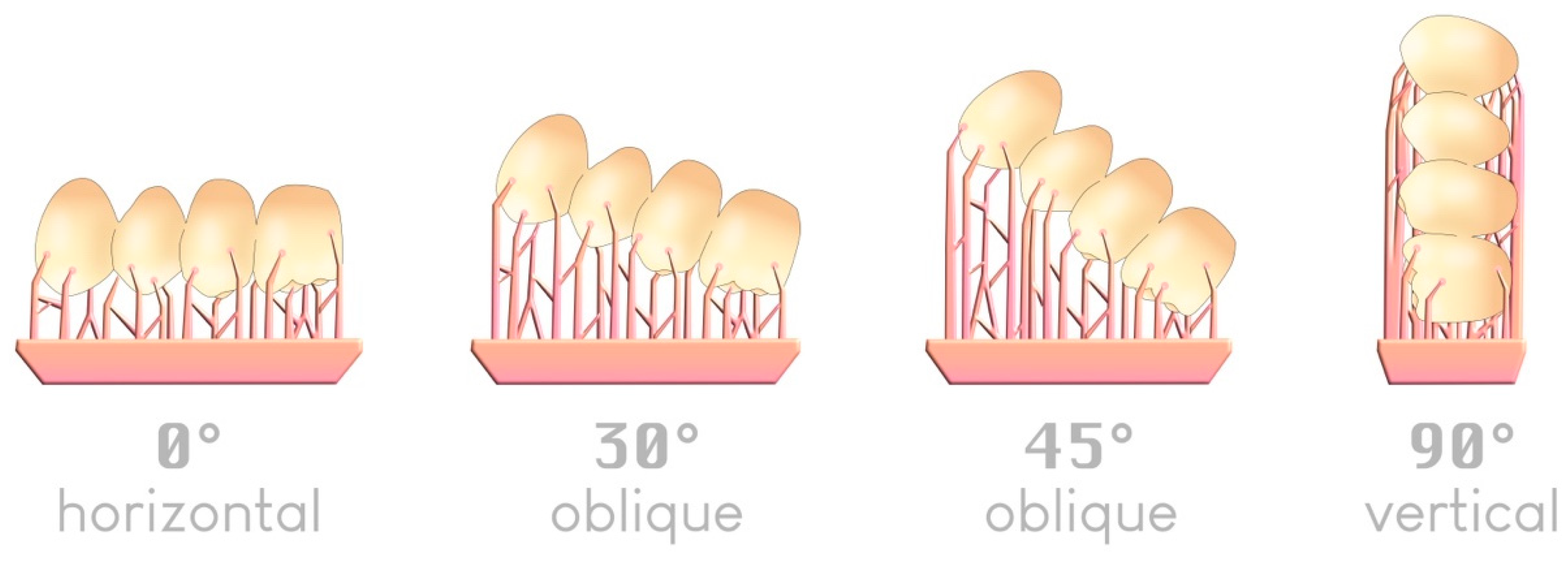 Materials 17 00950 g010