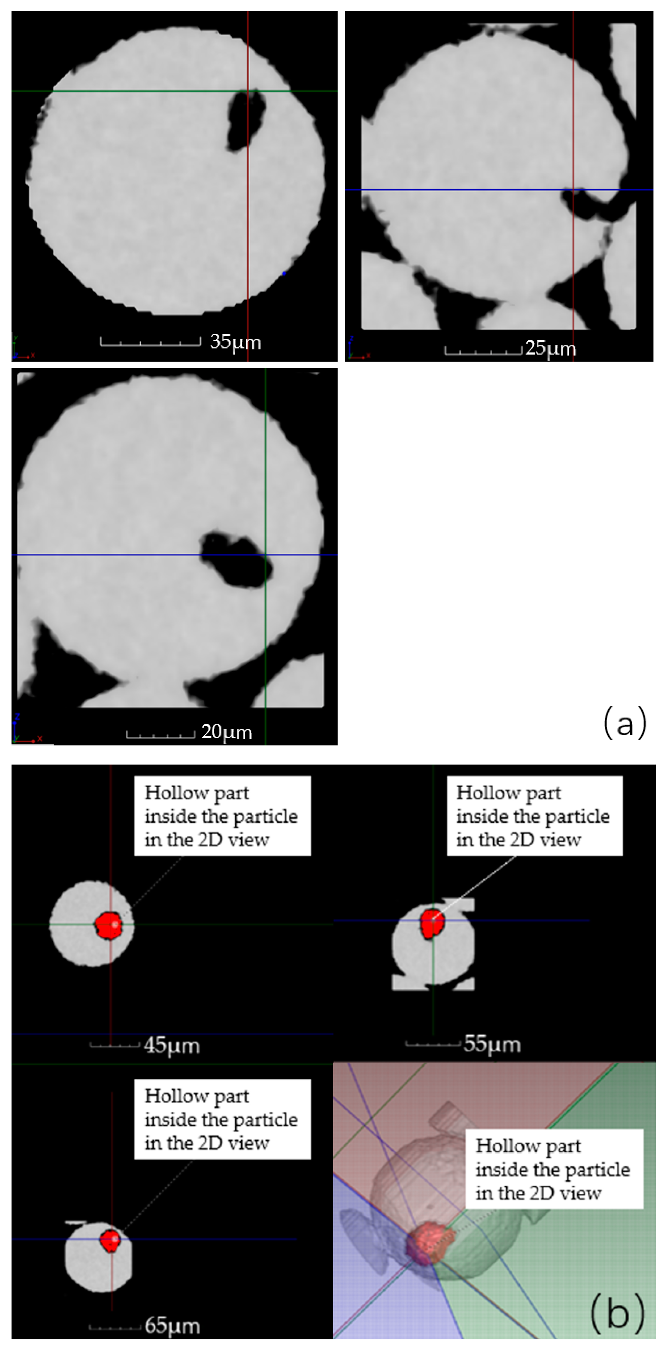 Materials 17 00952 g010