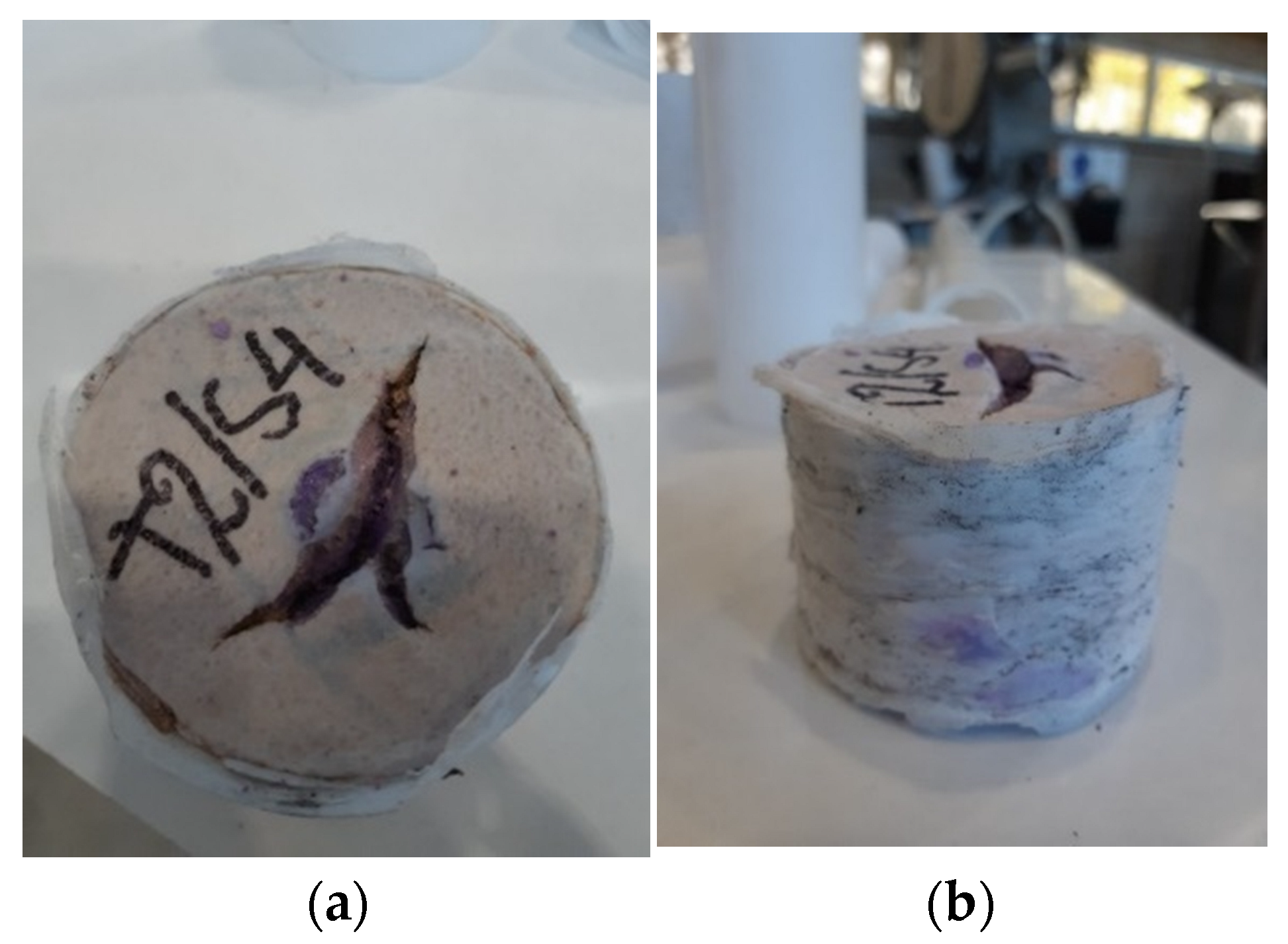 Materials 17 00956 g009