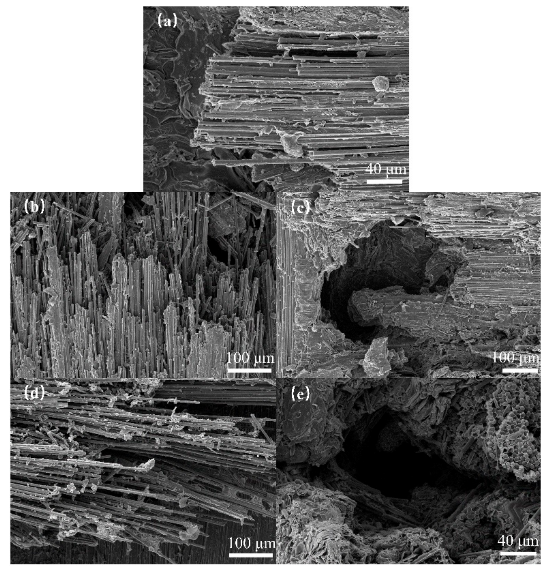 Materials 17 00963 g006