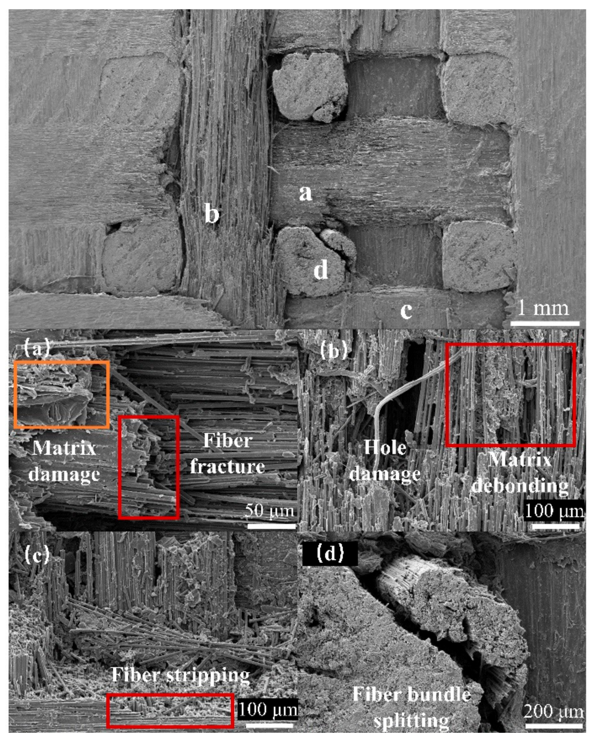 Materials 17 00963 g016