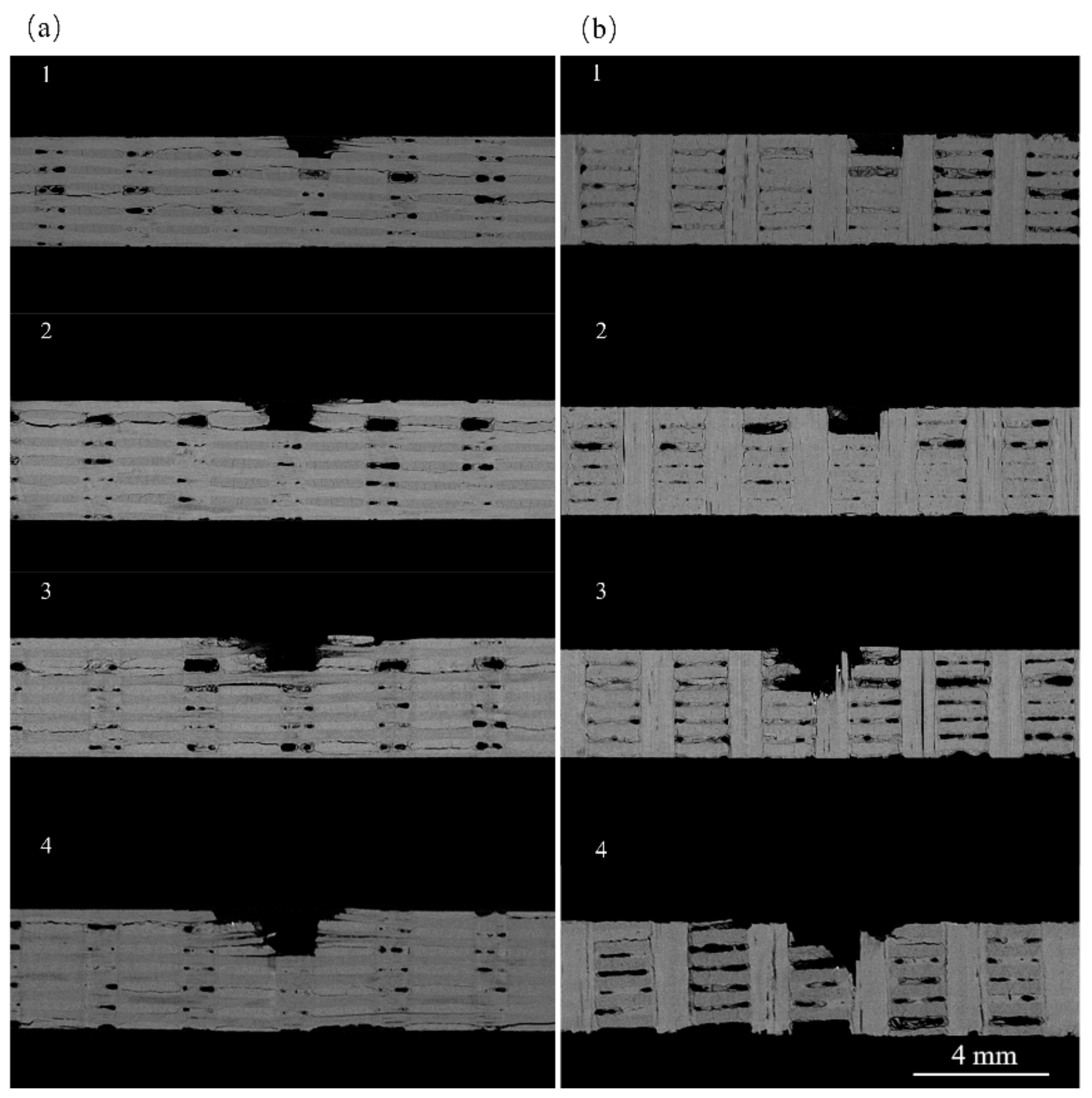 Materials 17 00963 g020
