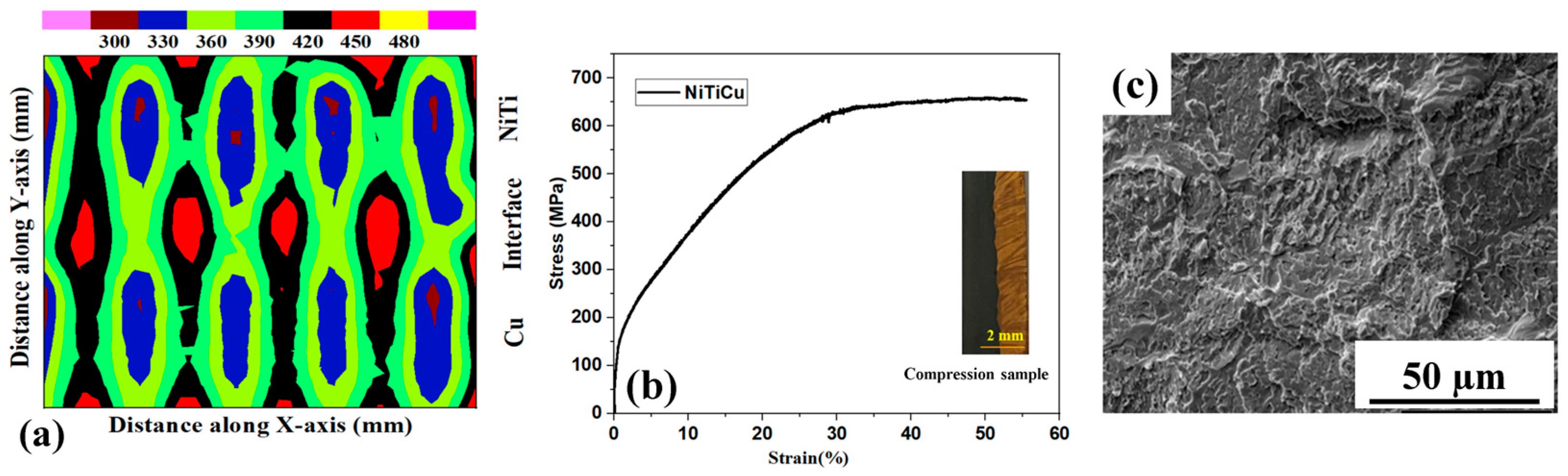 Materials 17 01006 g006