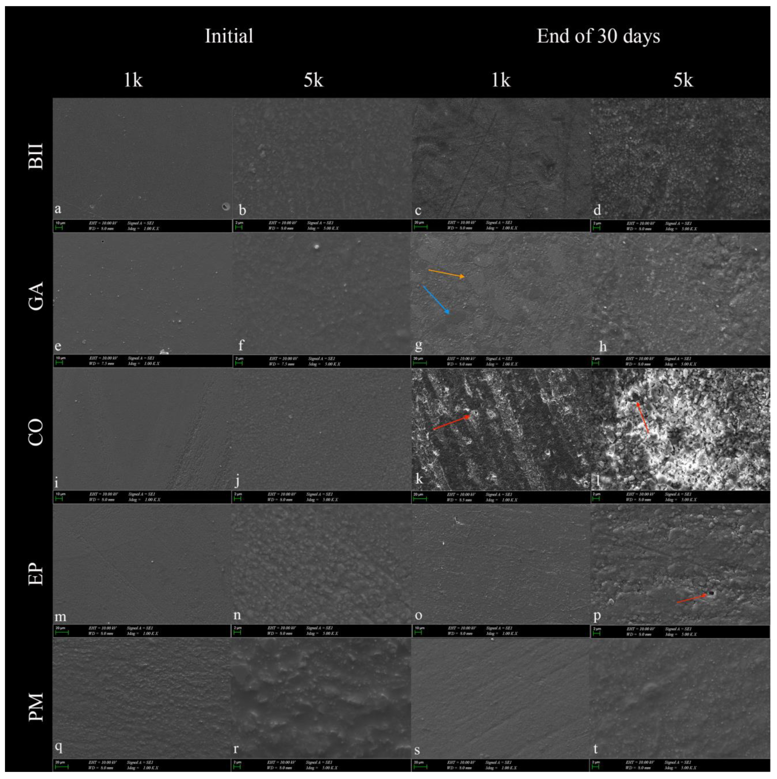 Materials 17 01040 g002