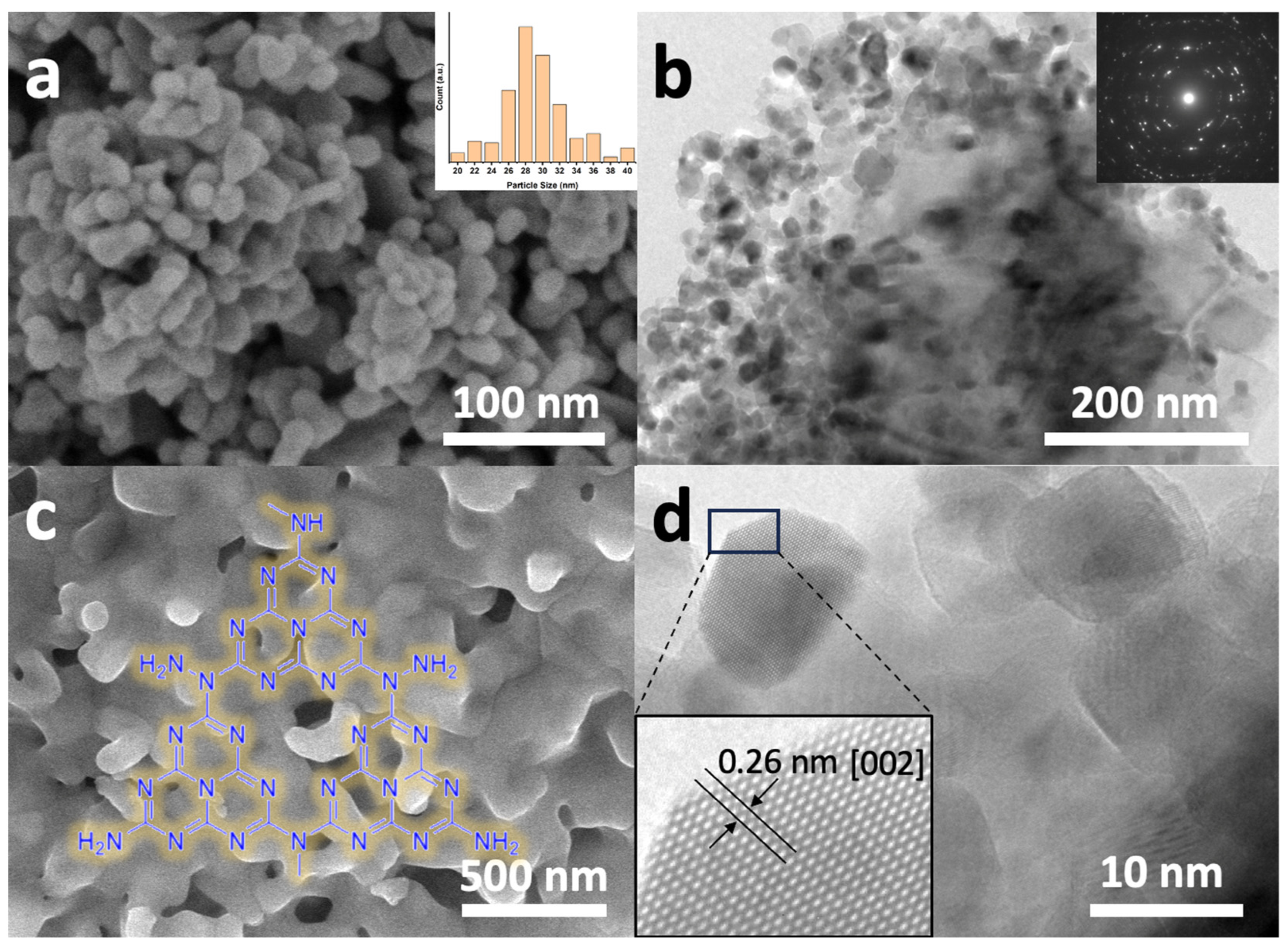 Materials 17 01059 g001