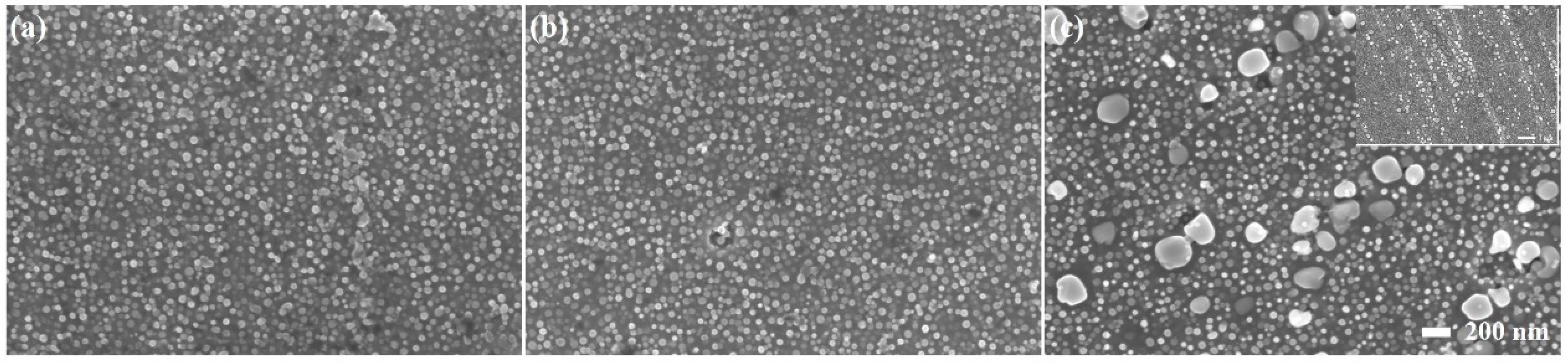 Materials 17 01084 g005 Materials 17 01084 g005
