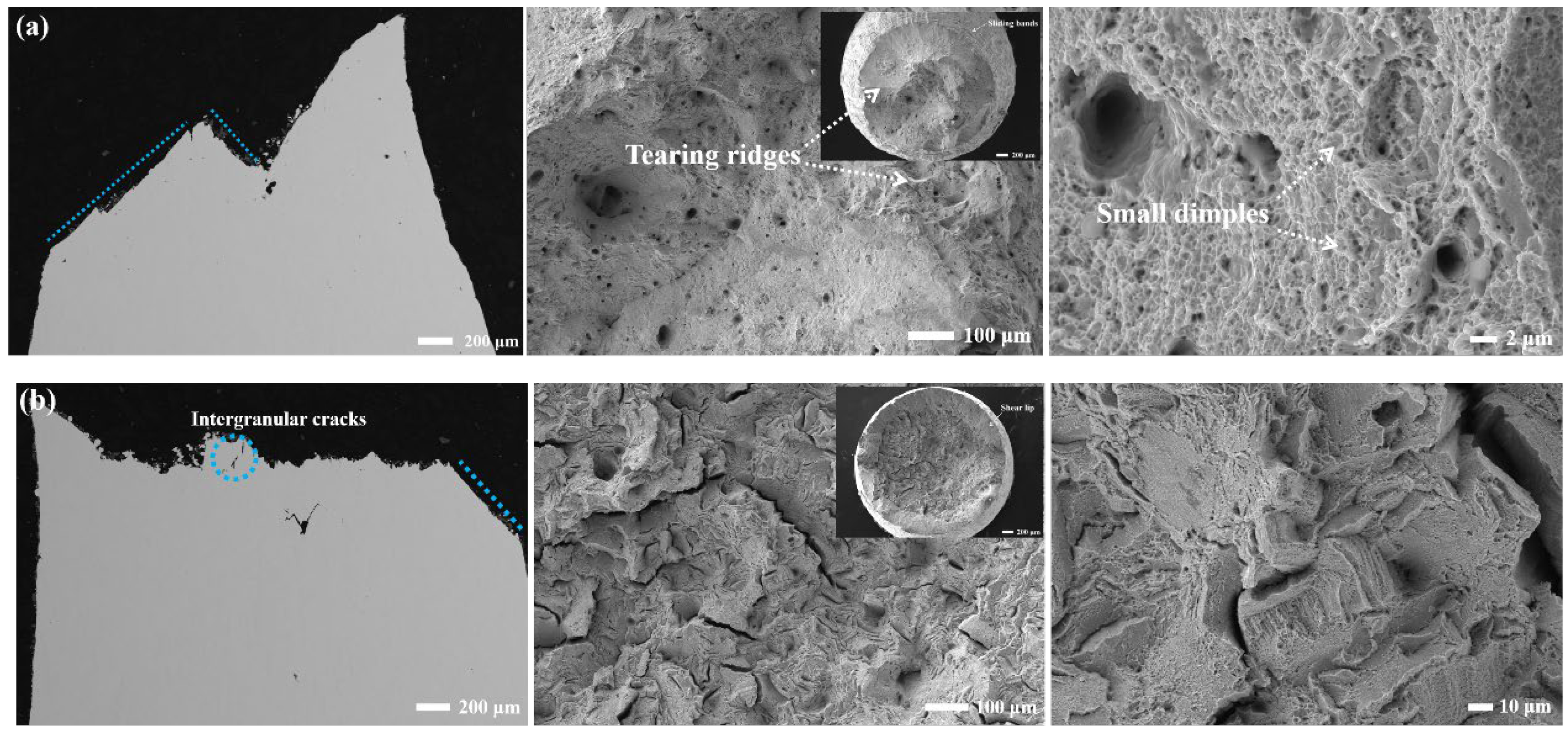 Materials 17 01084 g010a Materials 17 01084 g010a