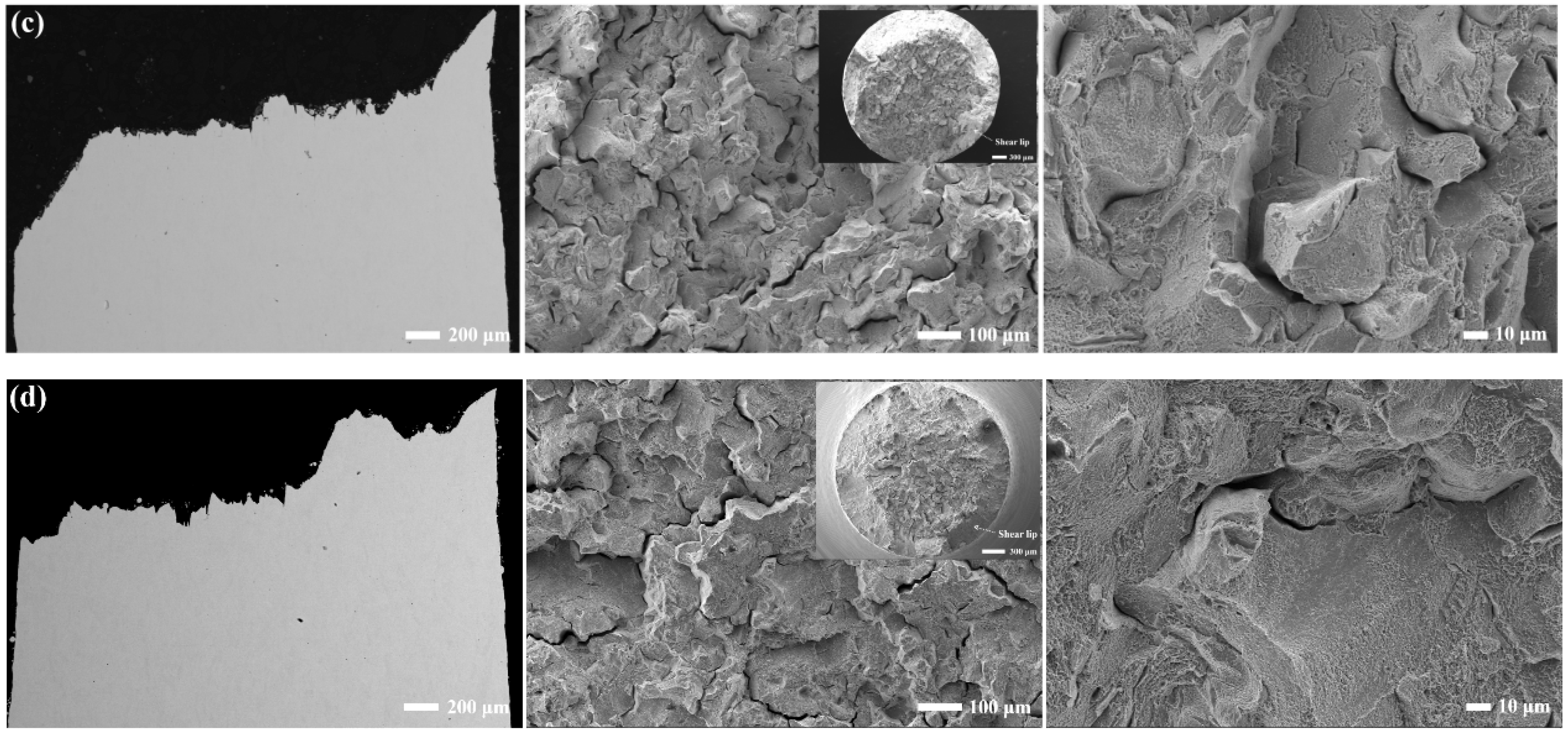 Materials 17 01084 g010b Materials 17 01084 g010b