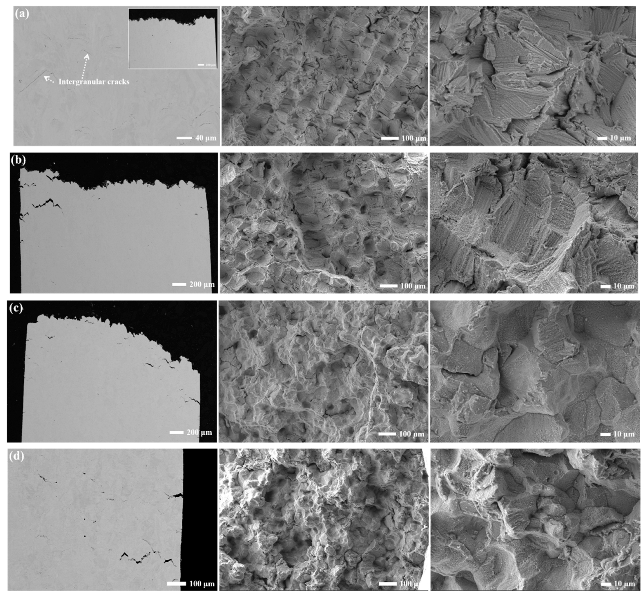 Materials 17 01084 g011 Materials 17 01084 g011