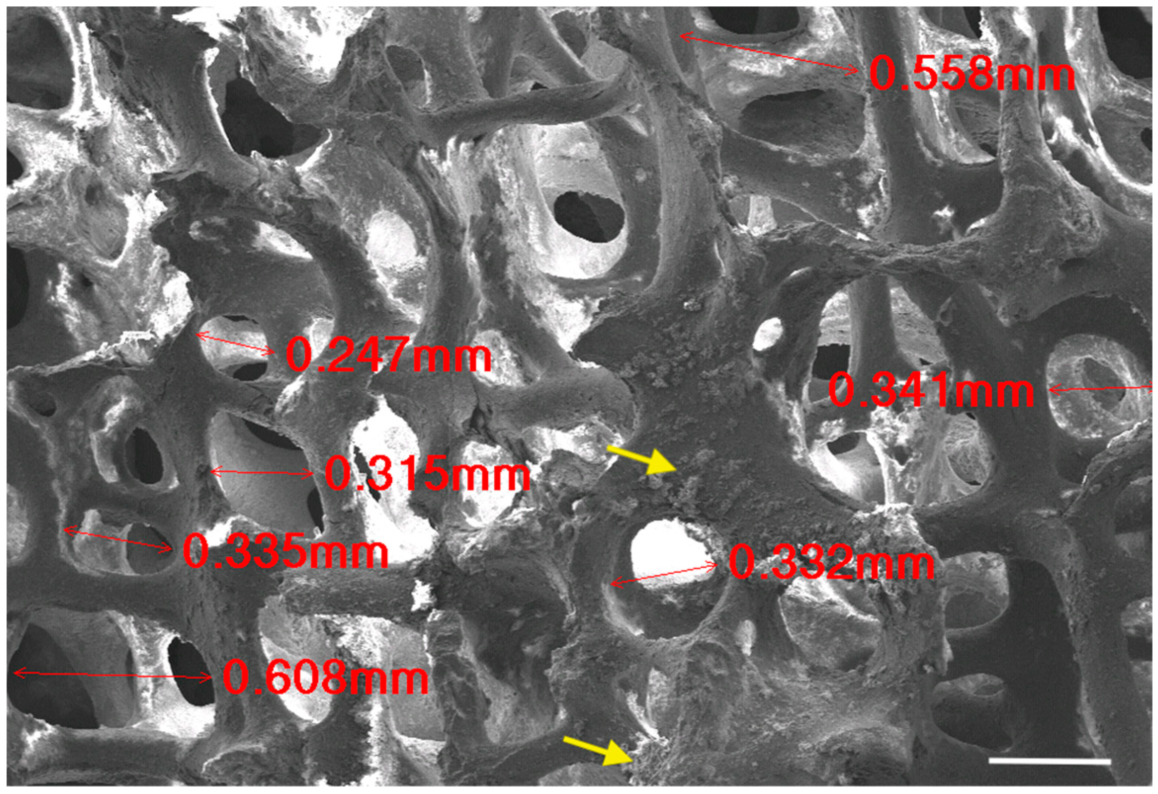 Materials 17 01107 g004 Materials 17 01107 g004