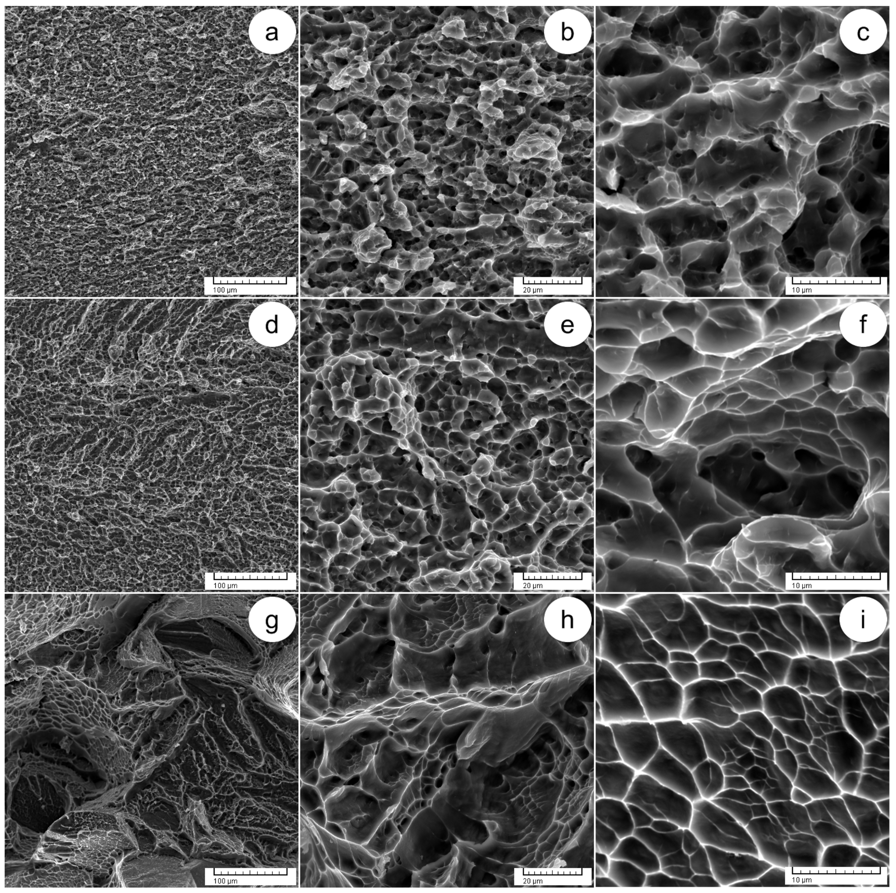 Materials 17 01145 g010