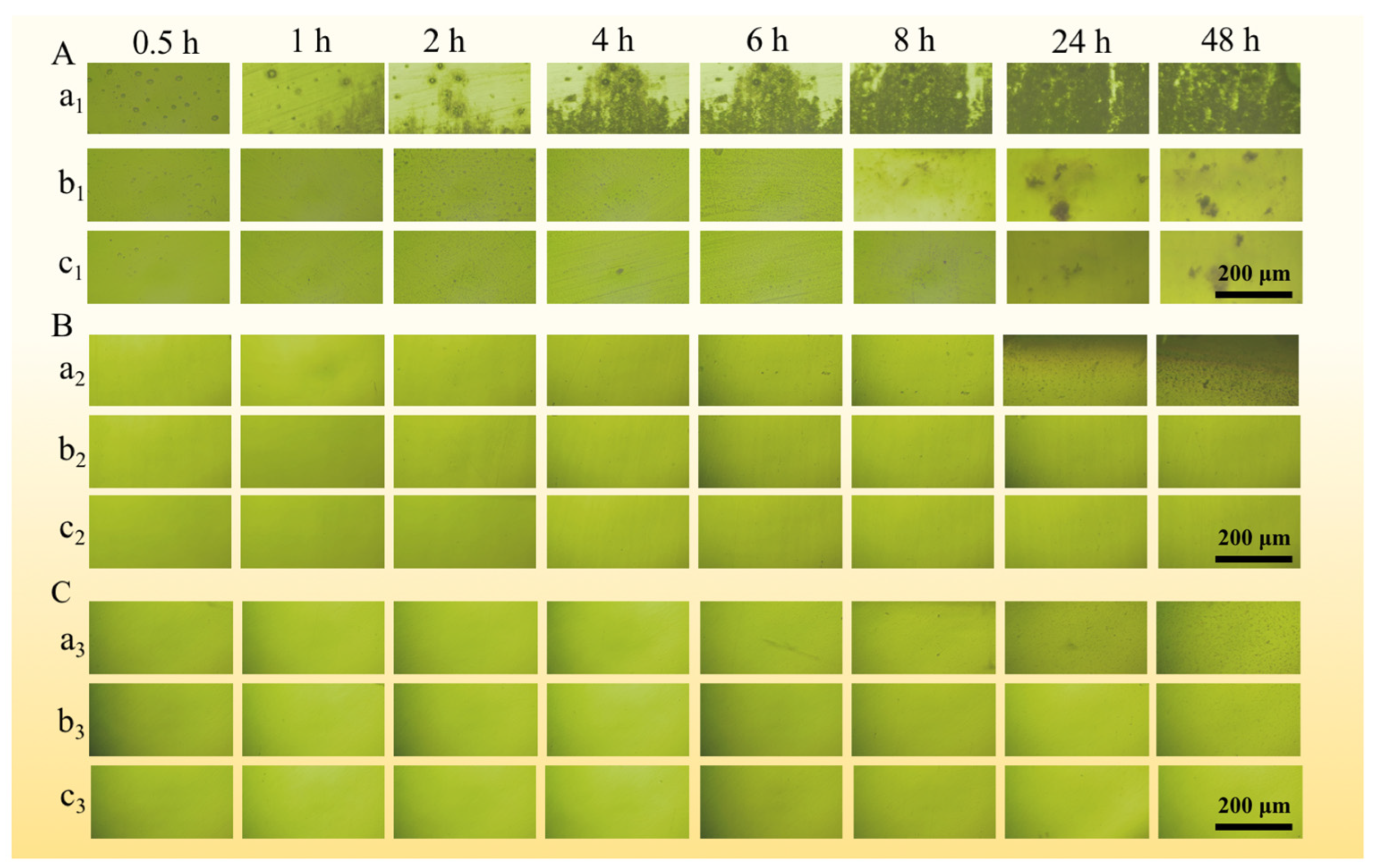 Materials 17 01158 g005