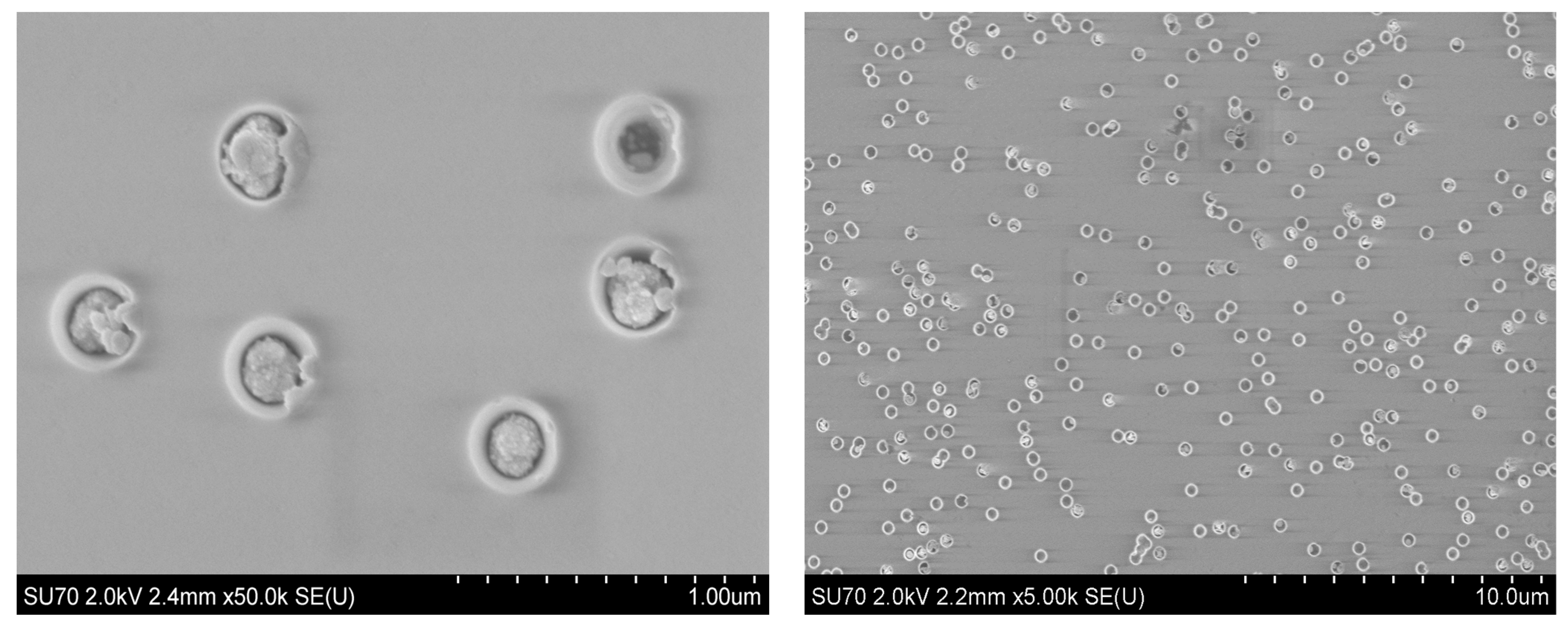 Materials 17 01226 g001