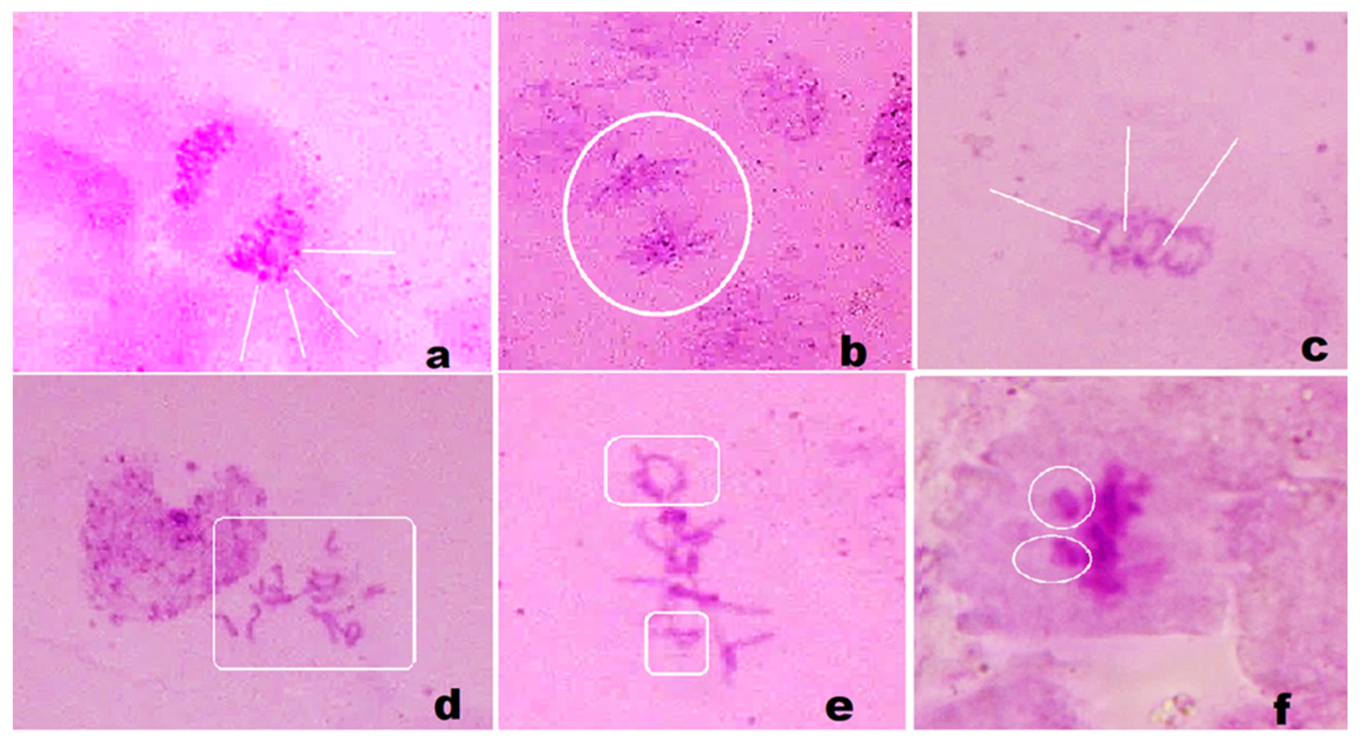 Materials 17 01229 g014